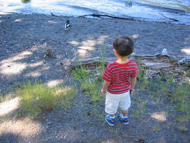 2005-5-27 DAY AT LAKE CRESCENT (3).jpg