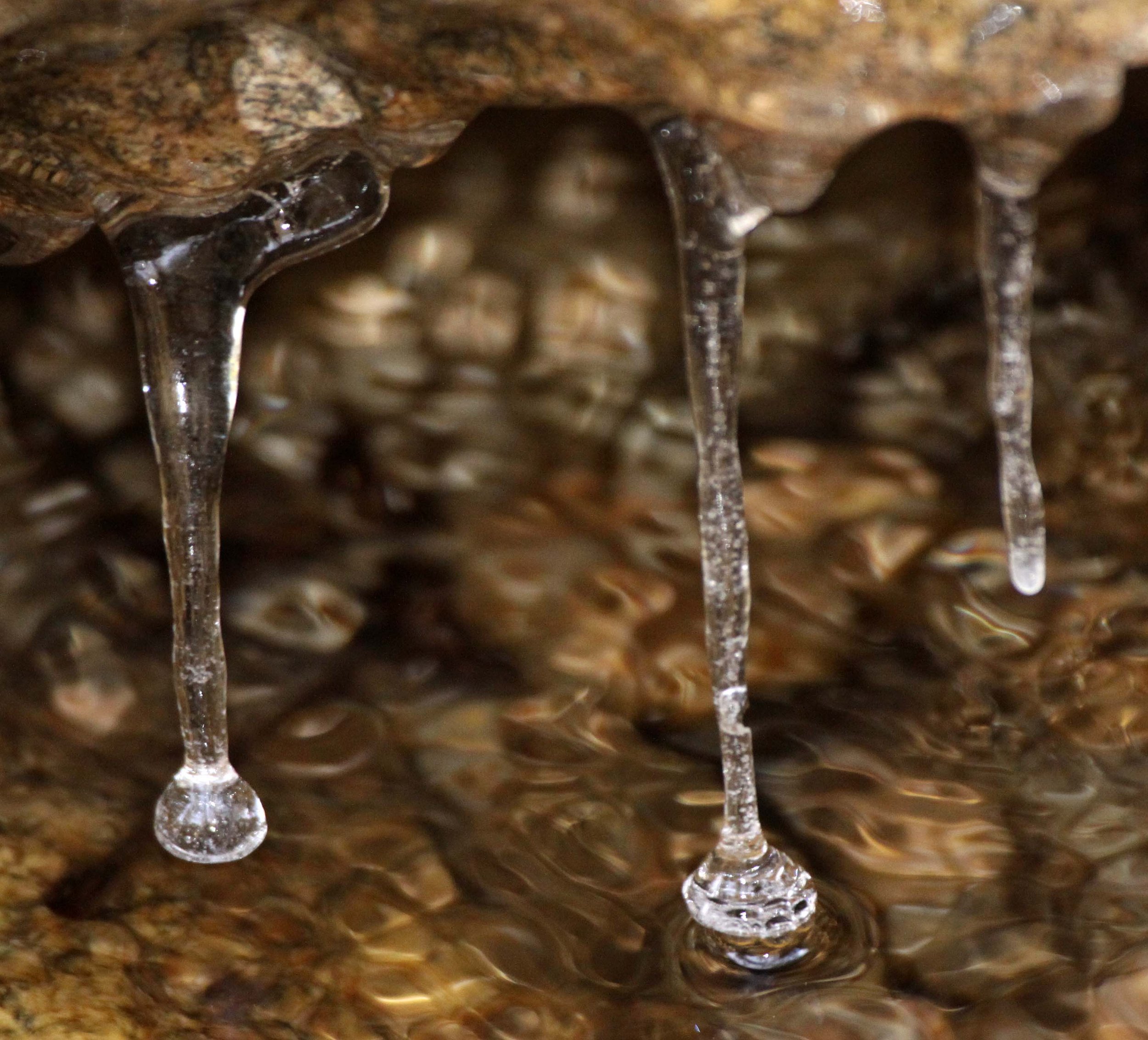 FOPING NATURE RESERVE - SHAANXI PROVINCE CHINA (130).JPG