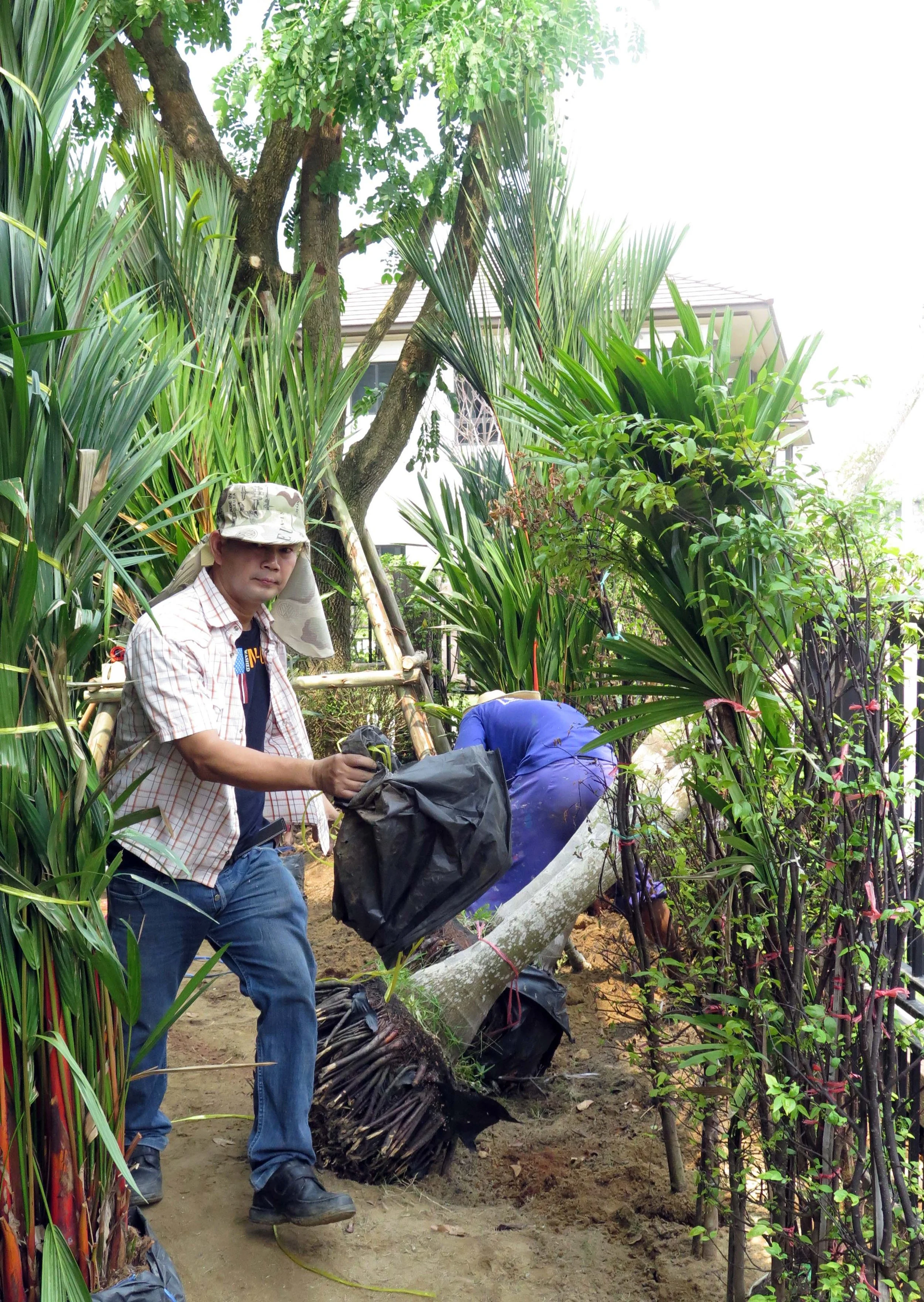 2013 Nonthaburi Setthasiri House and Nonthaburi Neighborhood (76).JPG