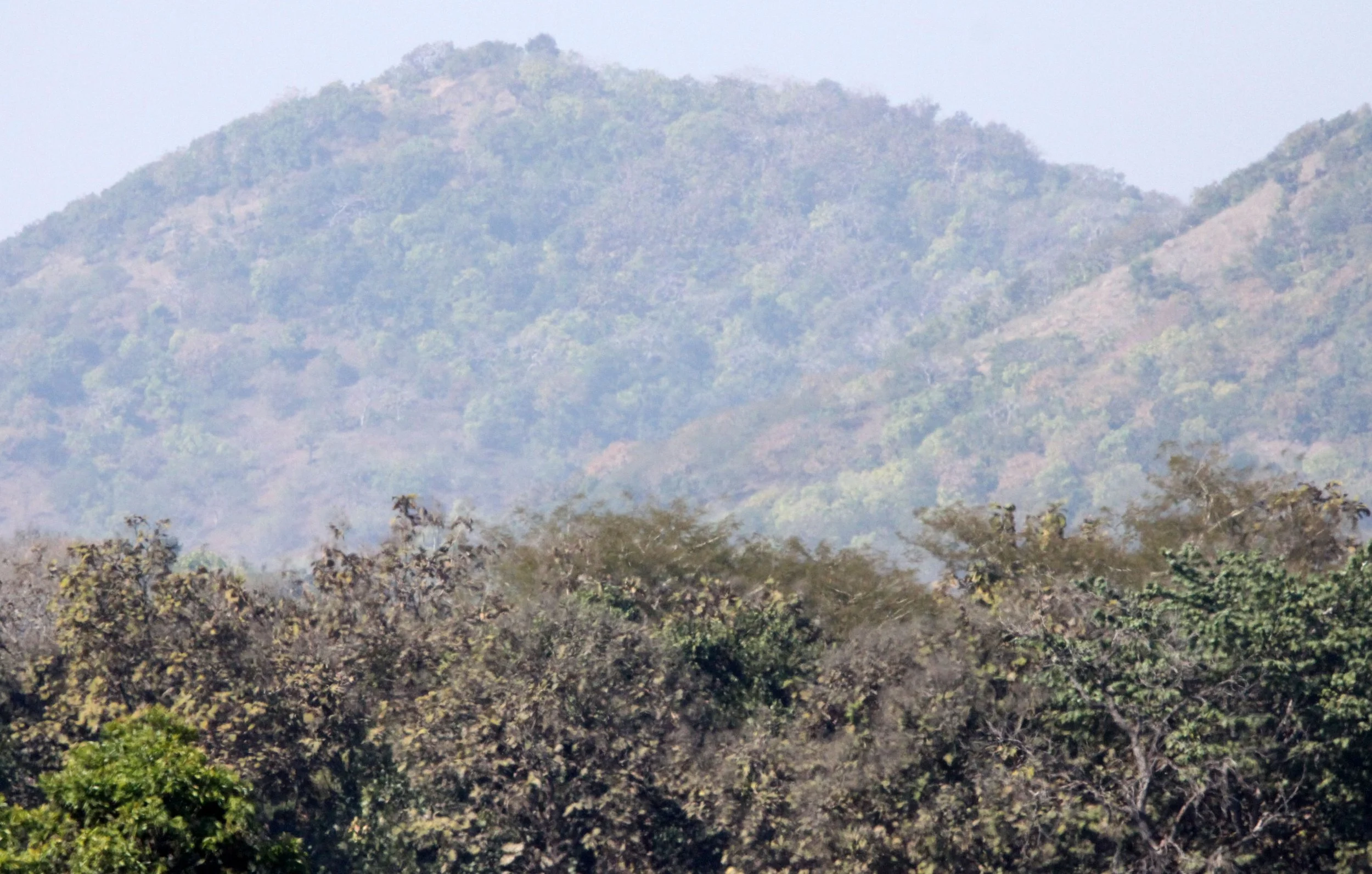 Bandhavgar National Park