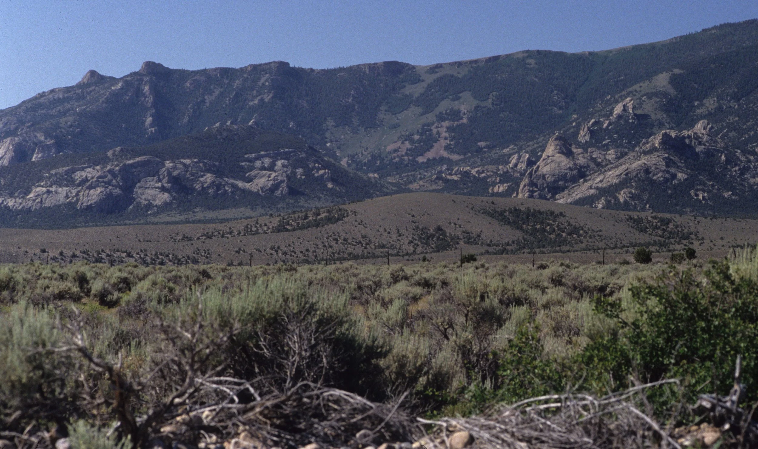 GREAT BASIN NP B.jpg