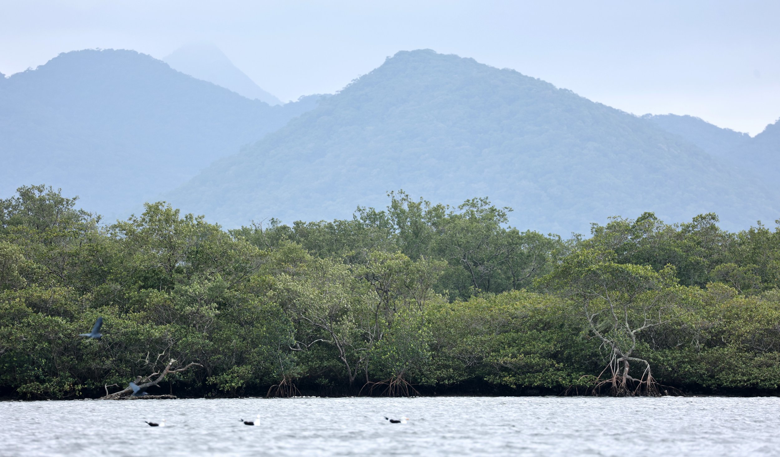 Superagüi National Park
