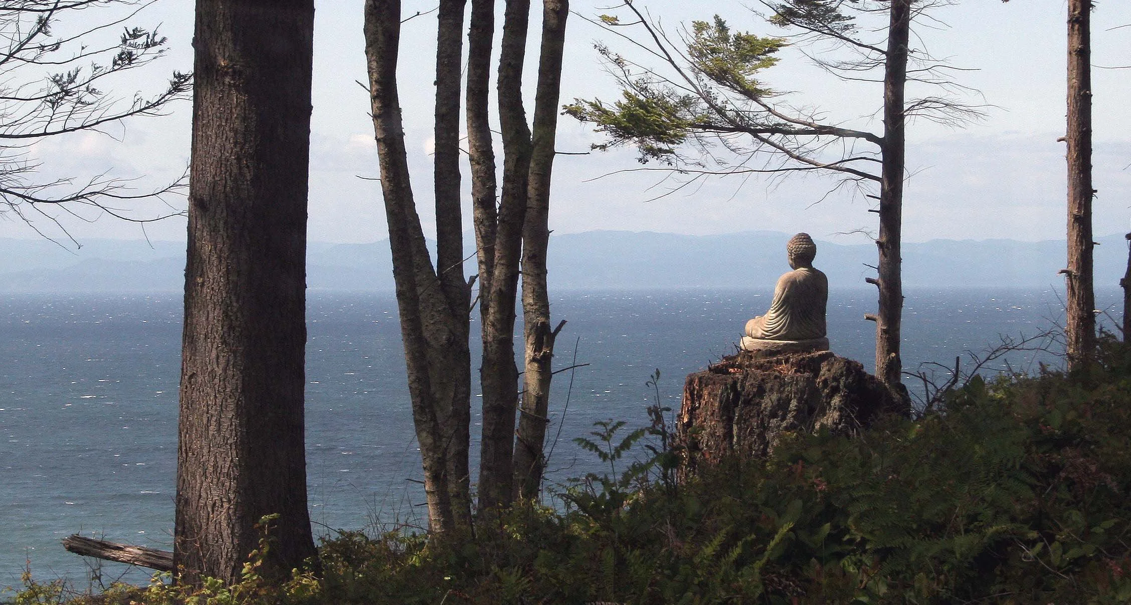 2007-5-27  BLUFF VIEW WITH BUDDHA.jpg