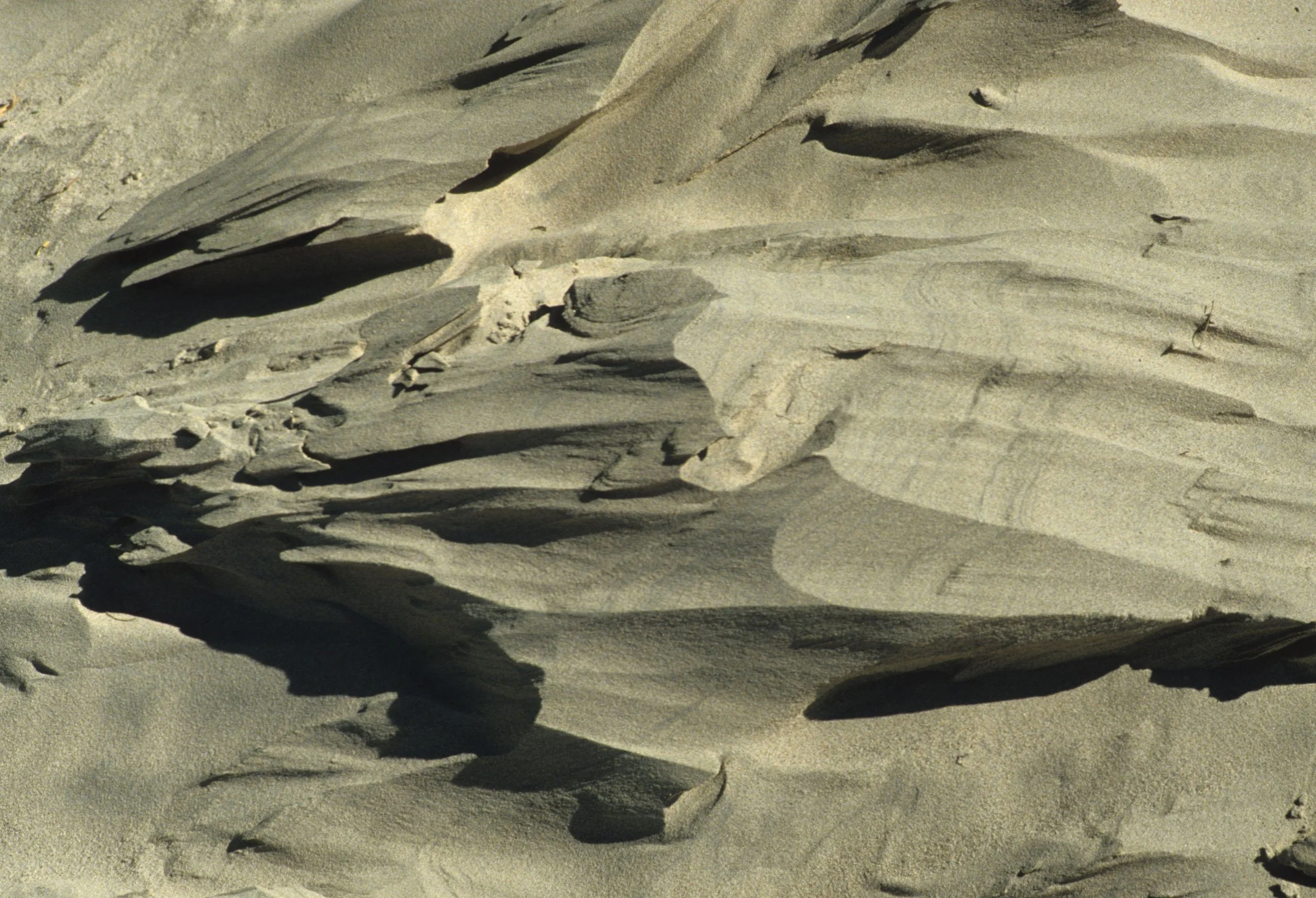 DEATH VALLEY - DUNE VIEWS.jpg