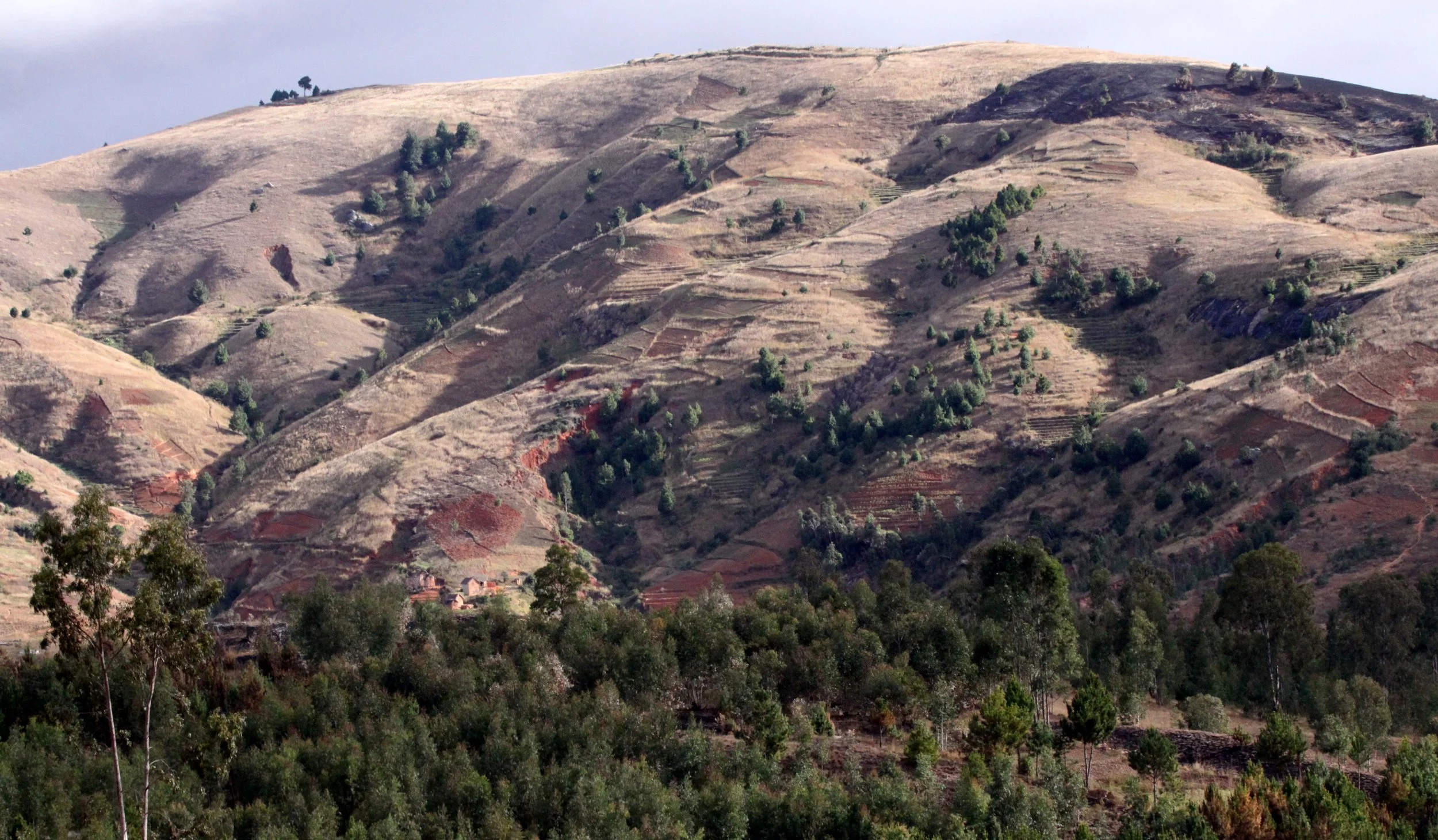 CENTRAL HIGHLANDS - ROAD TO RANOMAFANA (70).JPG