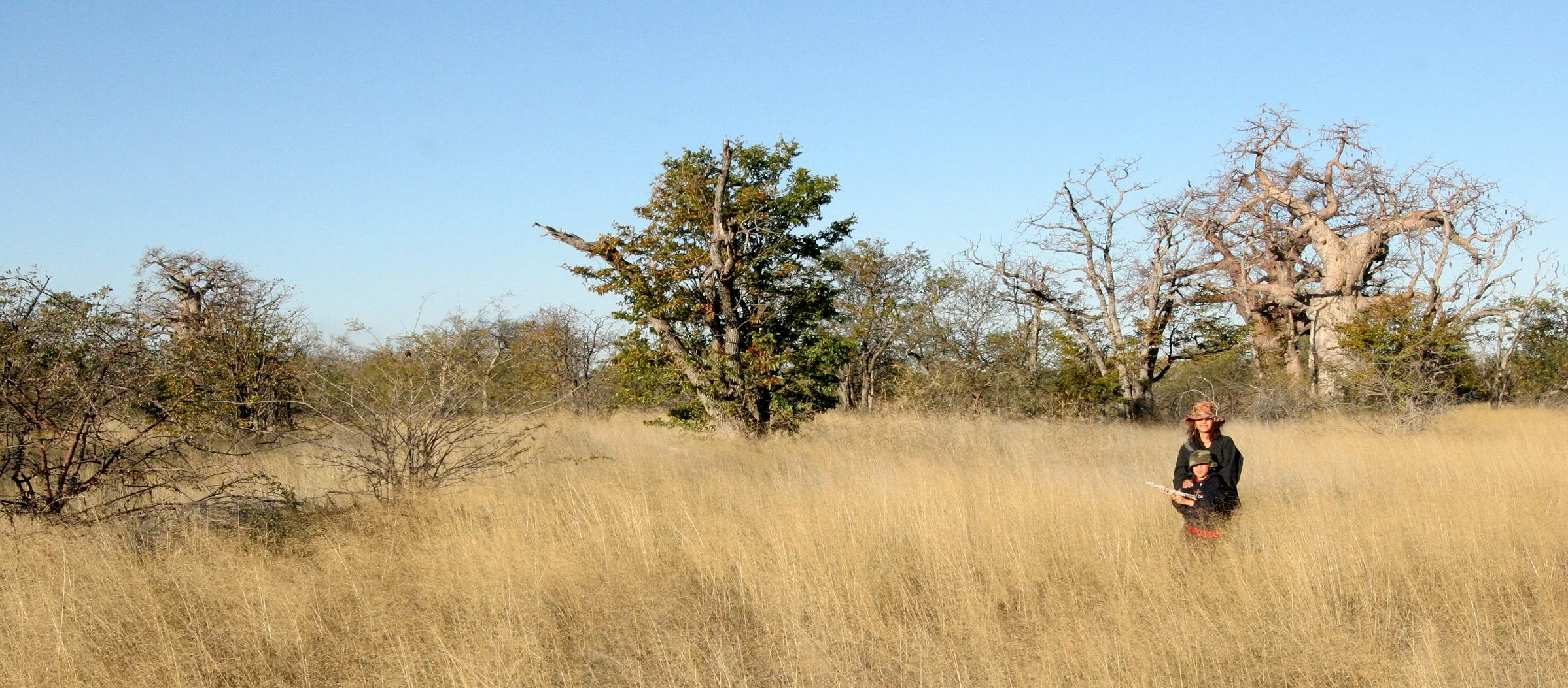 BOTSWANA -KALAHARI DESERT PLANET BAOBAB BOTSWANA (6).JPG