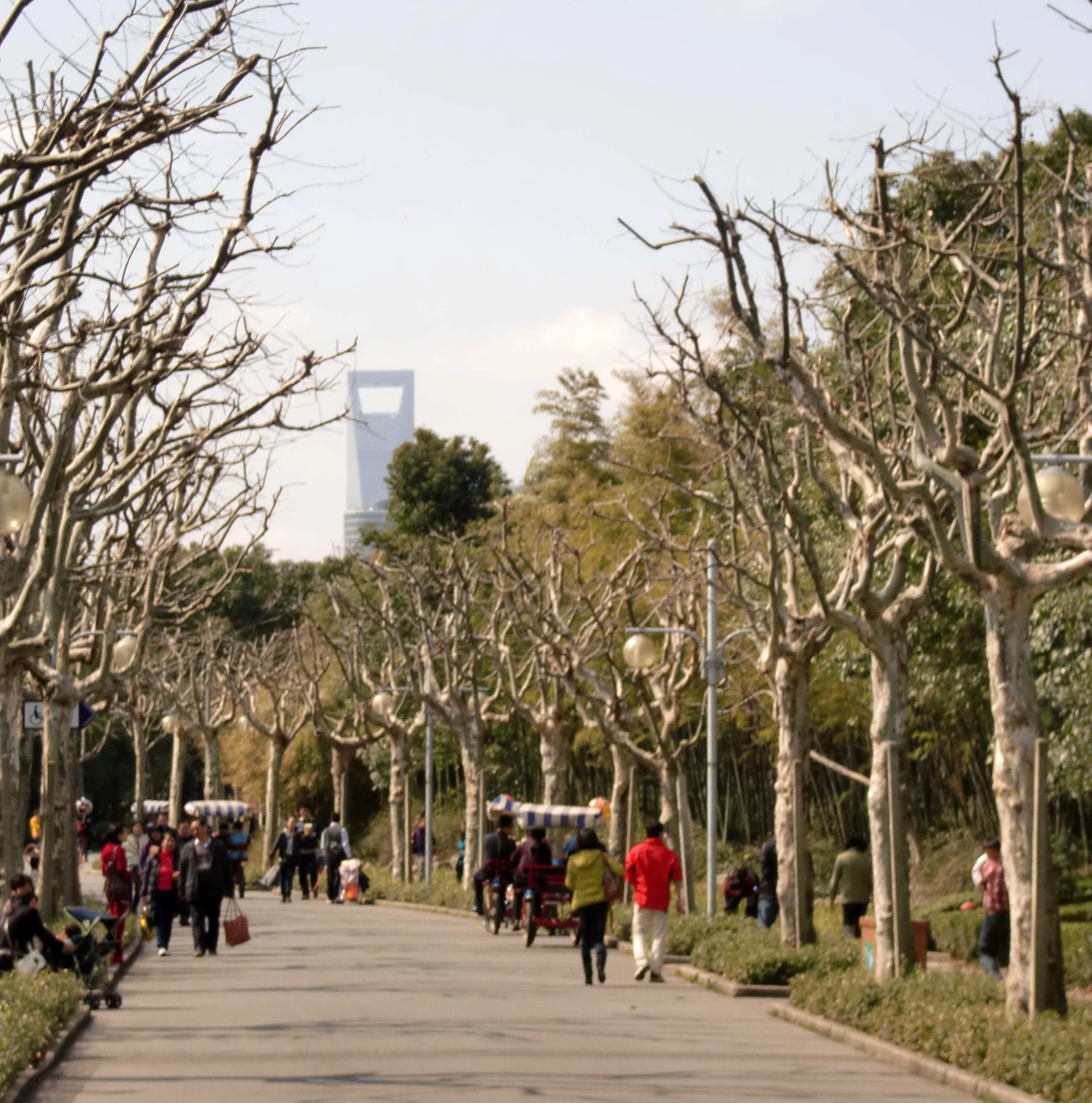 2011-3-13 CENTURY PARK SHANGHAI (13).JPG