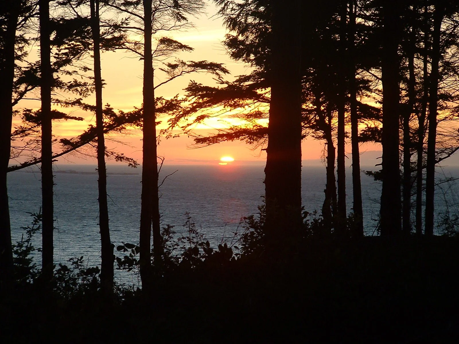 2003-8-1 WASHINGTON VISIT FROM ROBINSONS ET AL (16).JPG