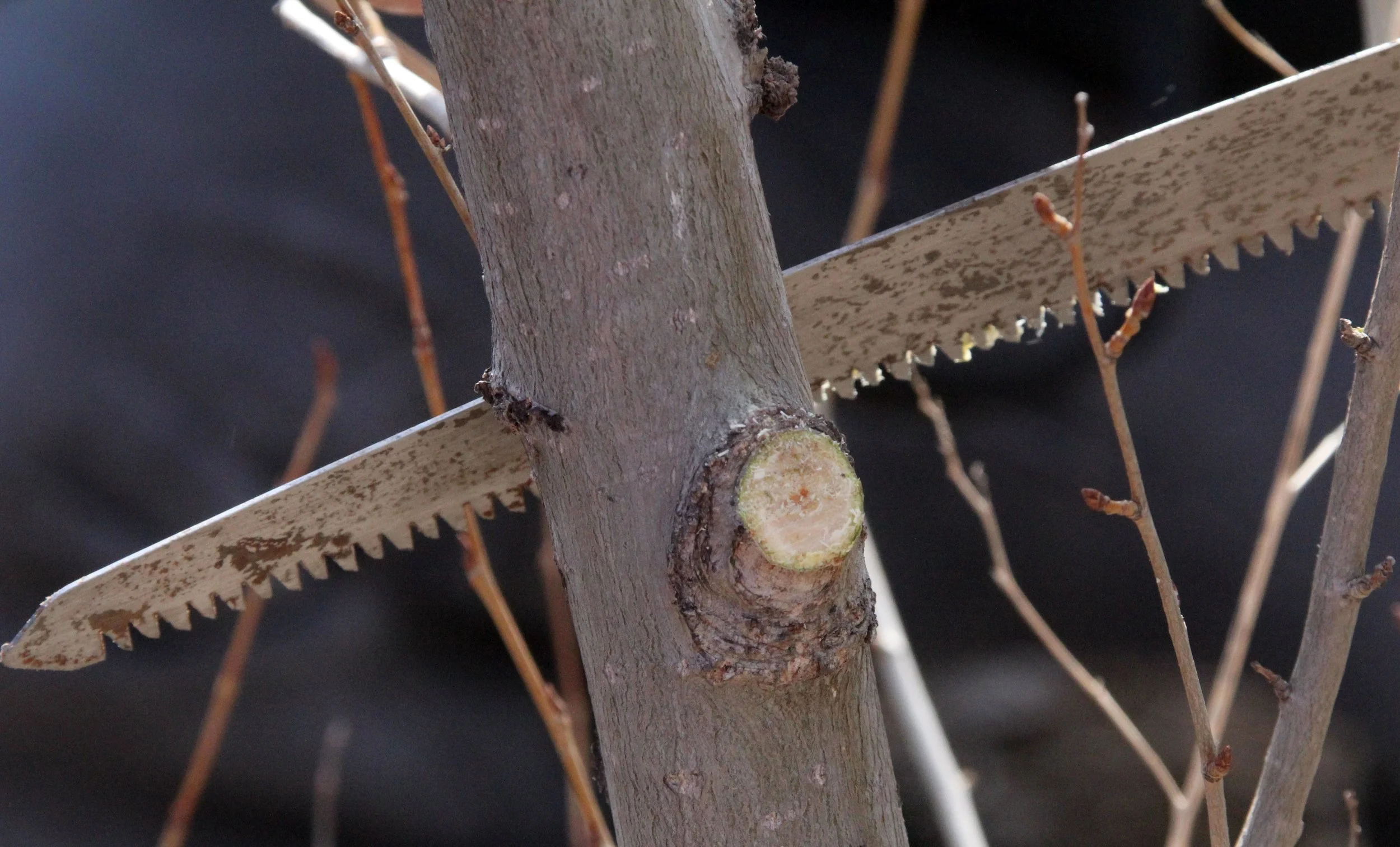 INNER MONGOLIA 2013 (762).JPG