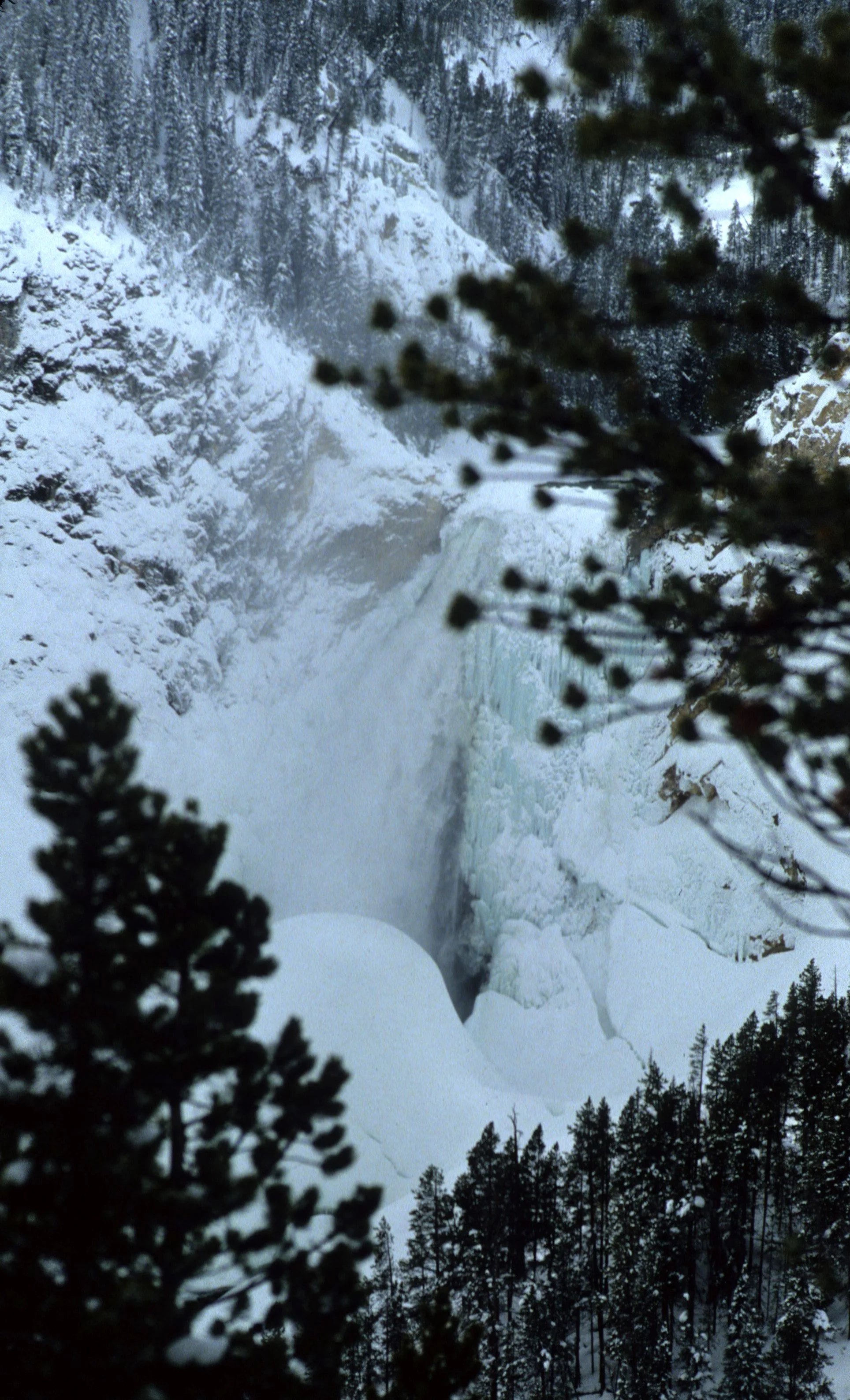 YELLOWSTONE IN WINTER W.jpg