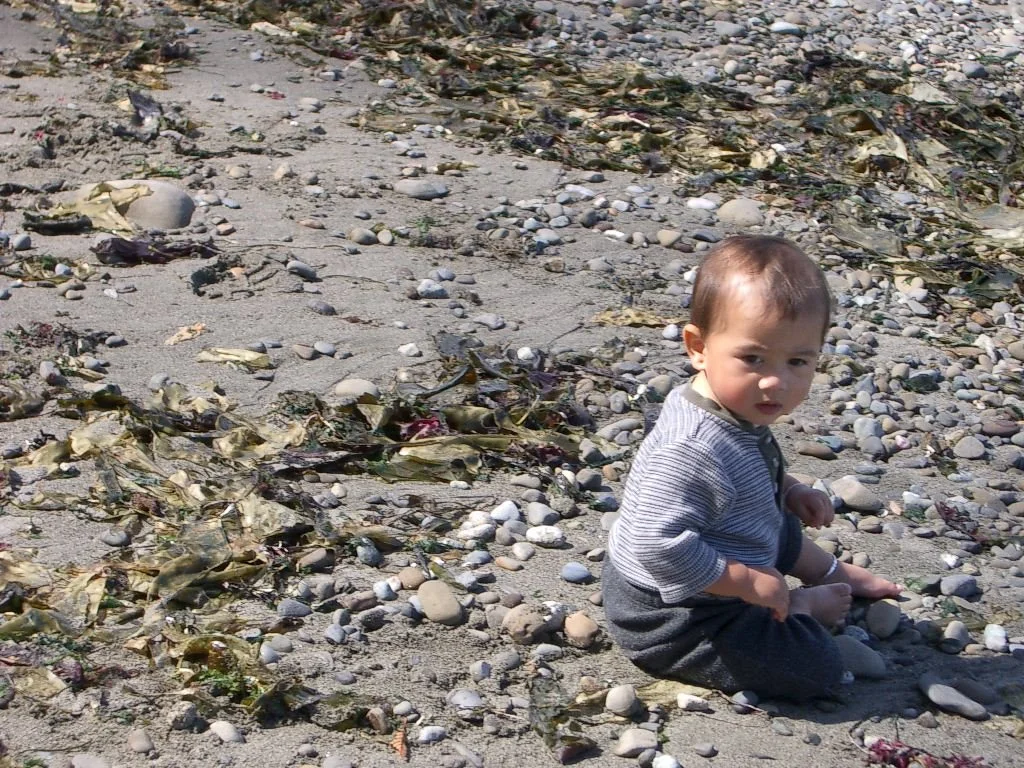 2003-8-31 LAKE FARM BEACH (7).JPG