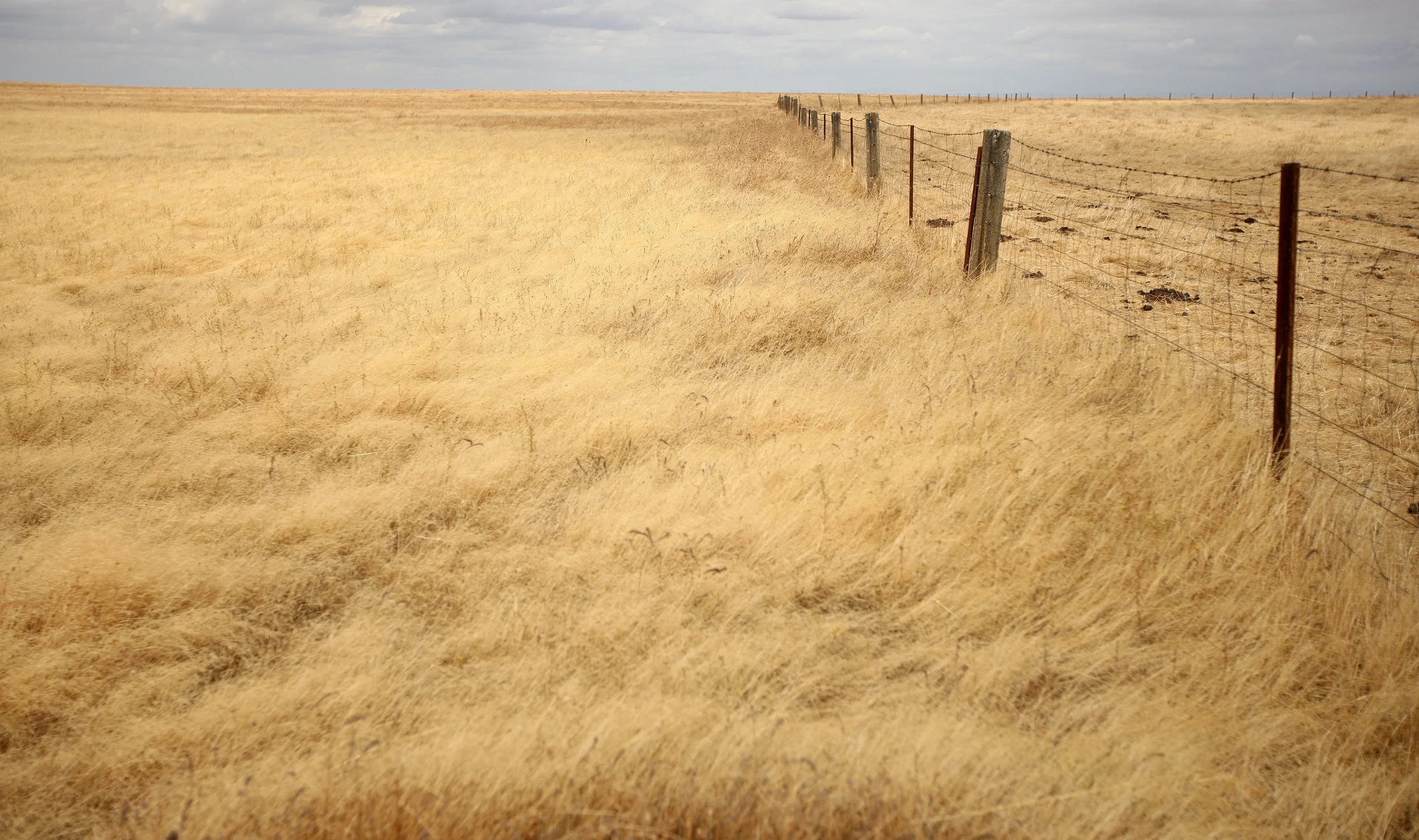 MALPARTIDA & MIRABELA GRASSLANDS SPAIN (8).JPG