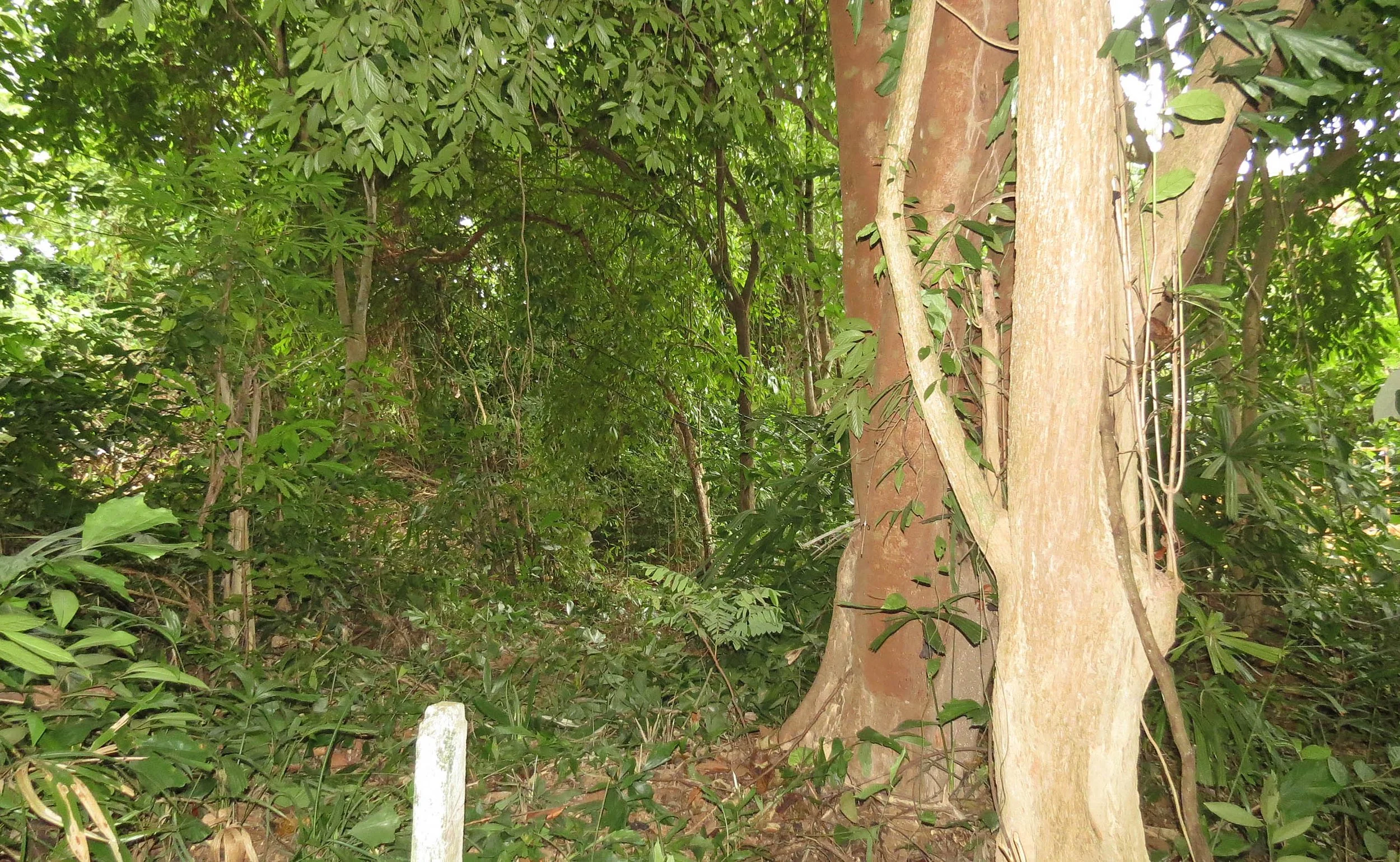 2014 Koh Lanta Build (139).JPG