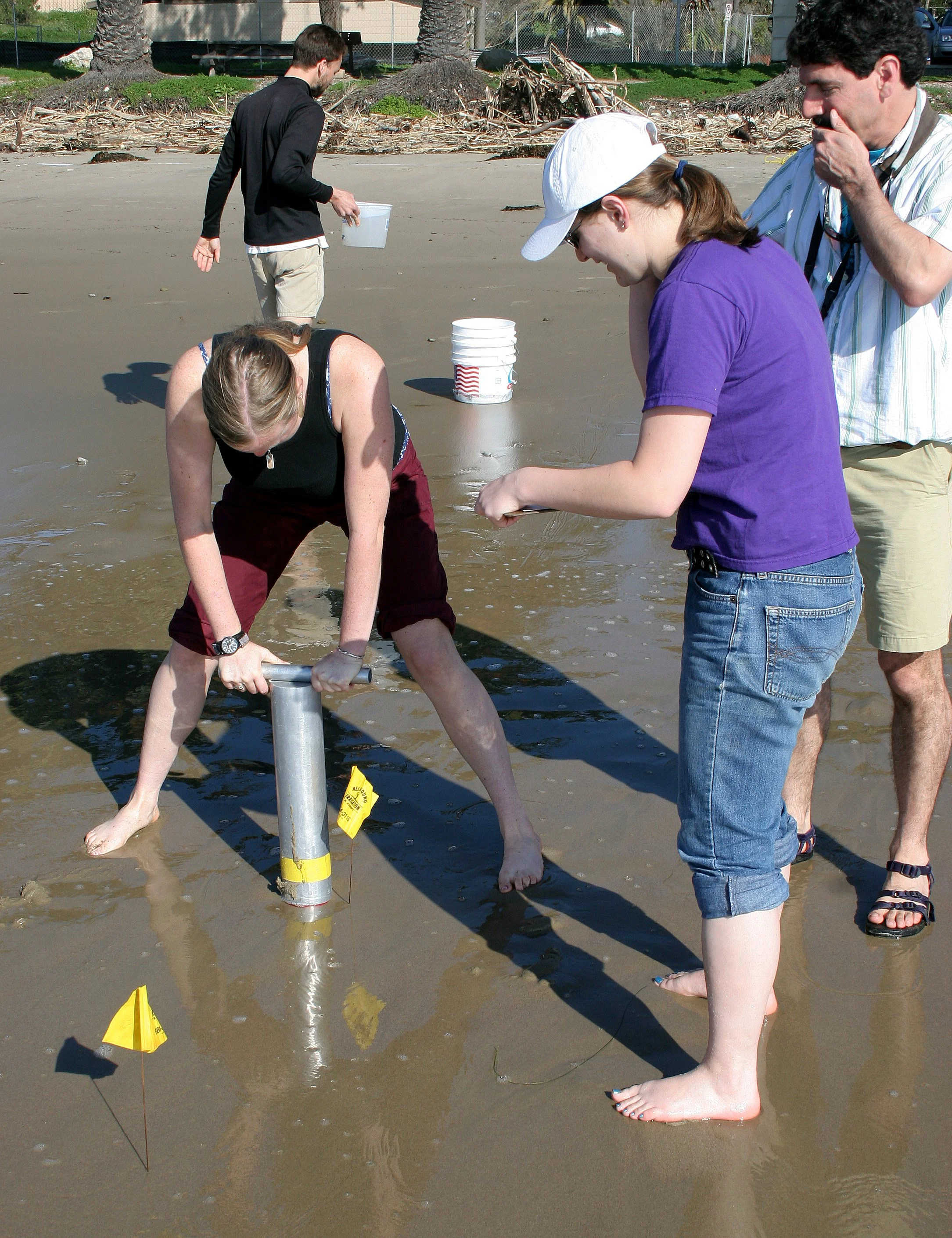 CALIFORNIA - CHANNEL ISLANDS NP - LIMPETS RESEARCH METHODS (9).jpg