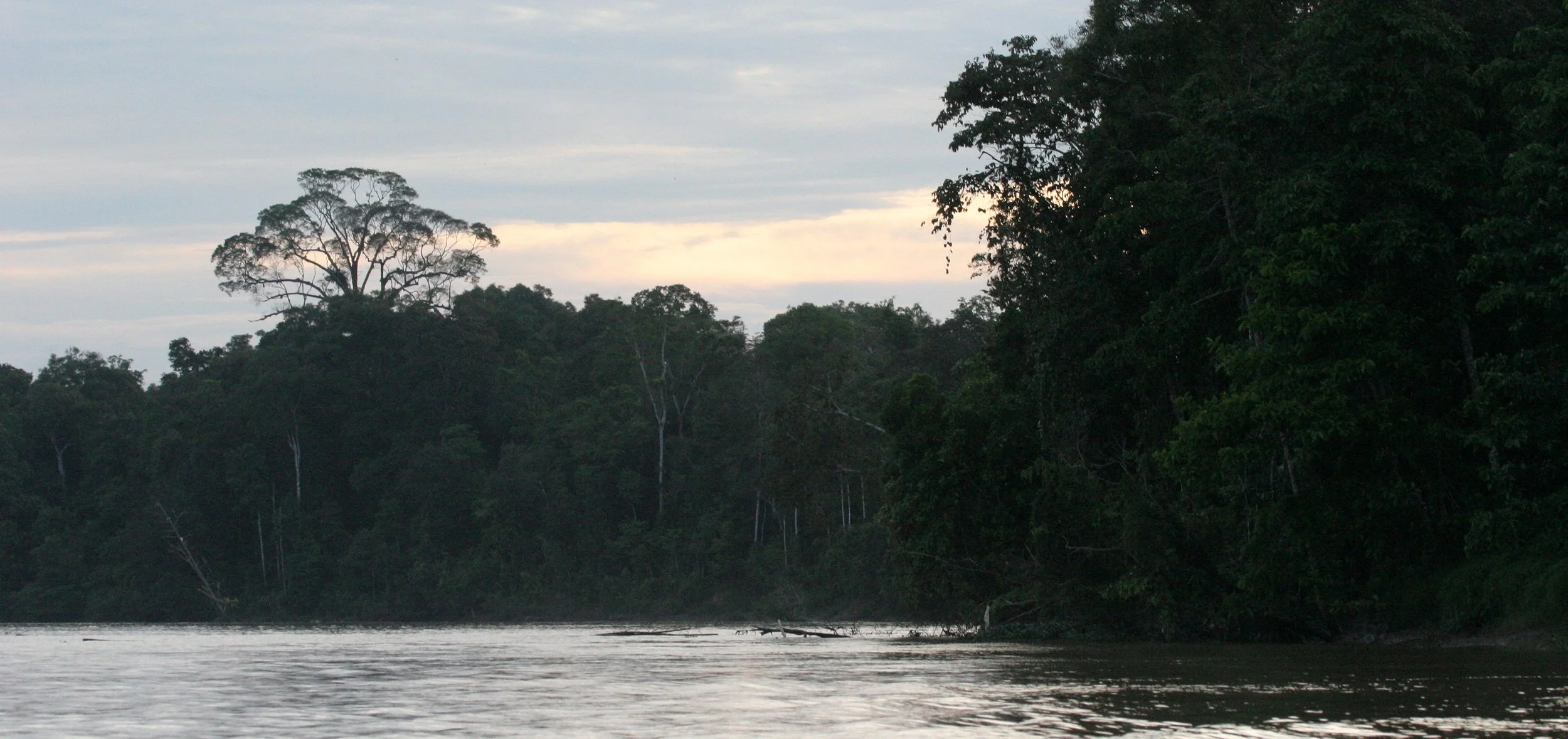 KINABATANGAN RIVER BORNEO - RIVER SCENES (4).JPG
