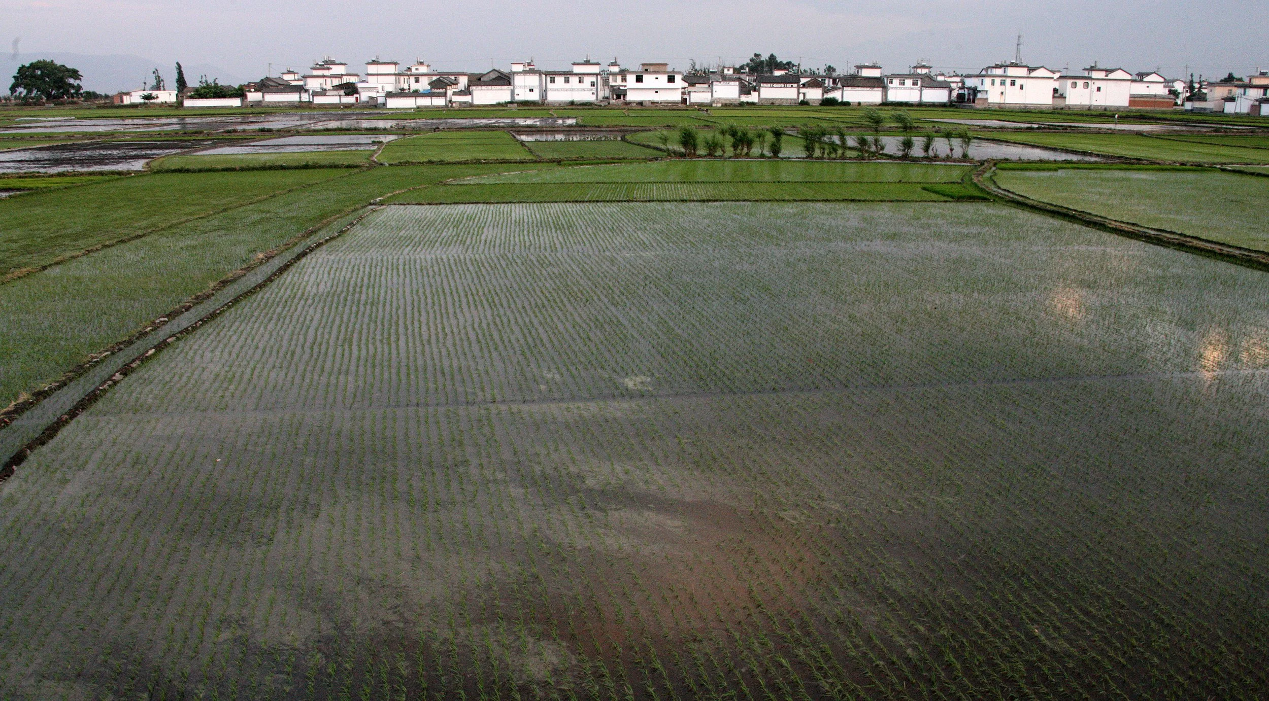 LINDEN CENTER - XIZHOU VILLAGE YUNNAN CHINA (33).JPG