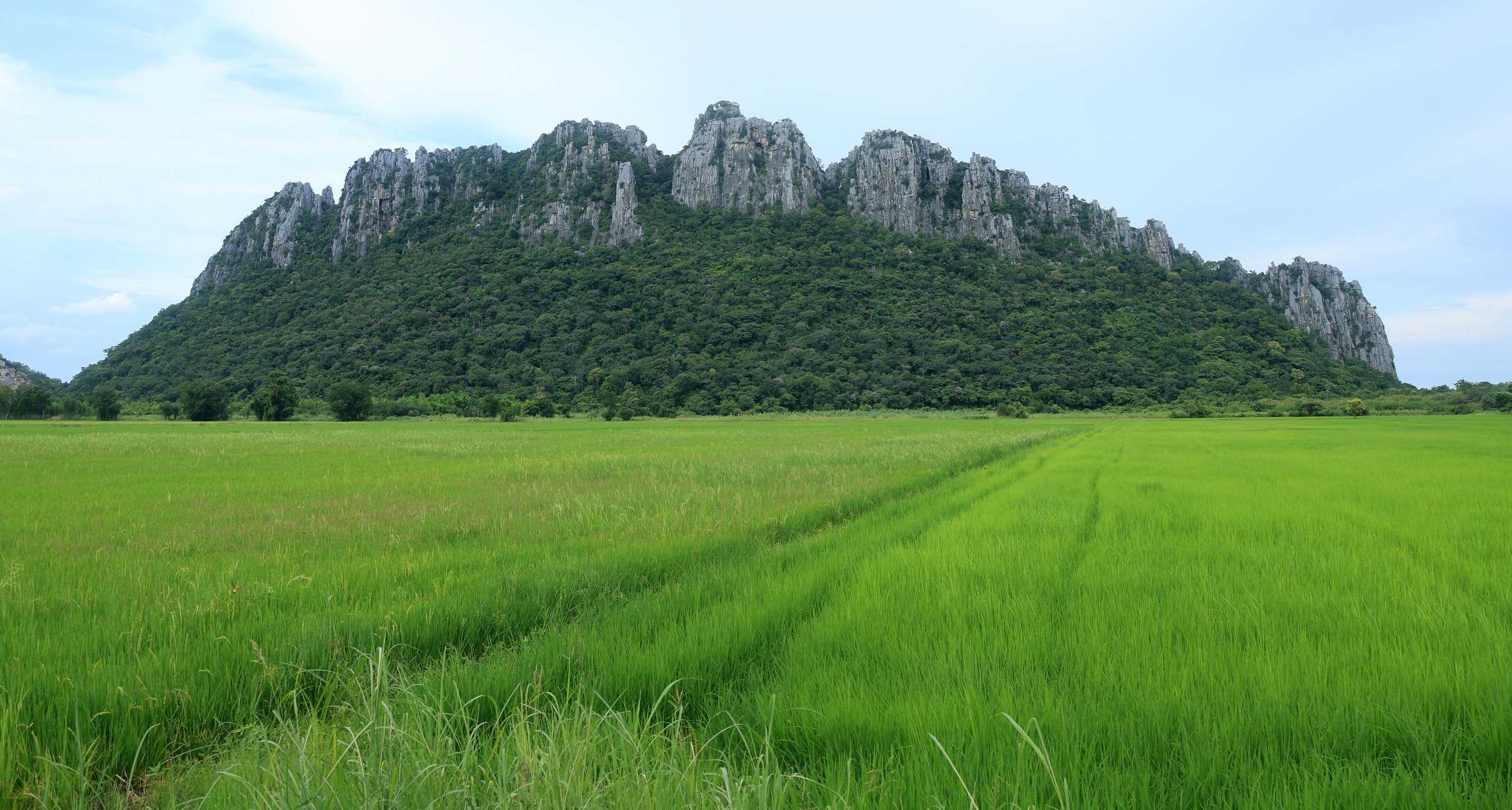 Khao Nor Khao Kaew Bat Viewing Nakhon Sawan (34).jpg