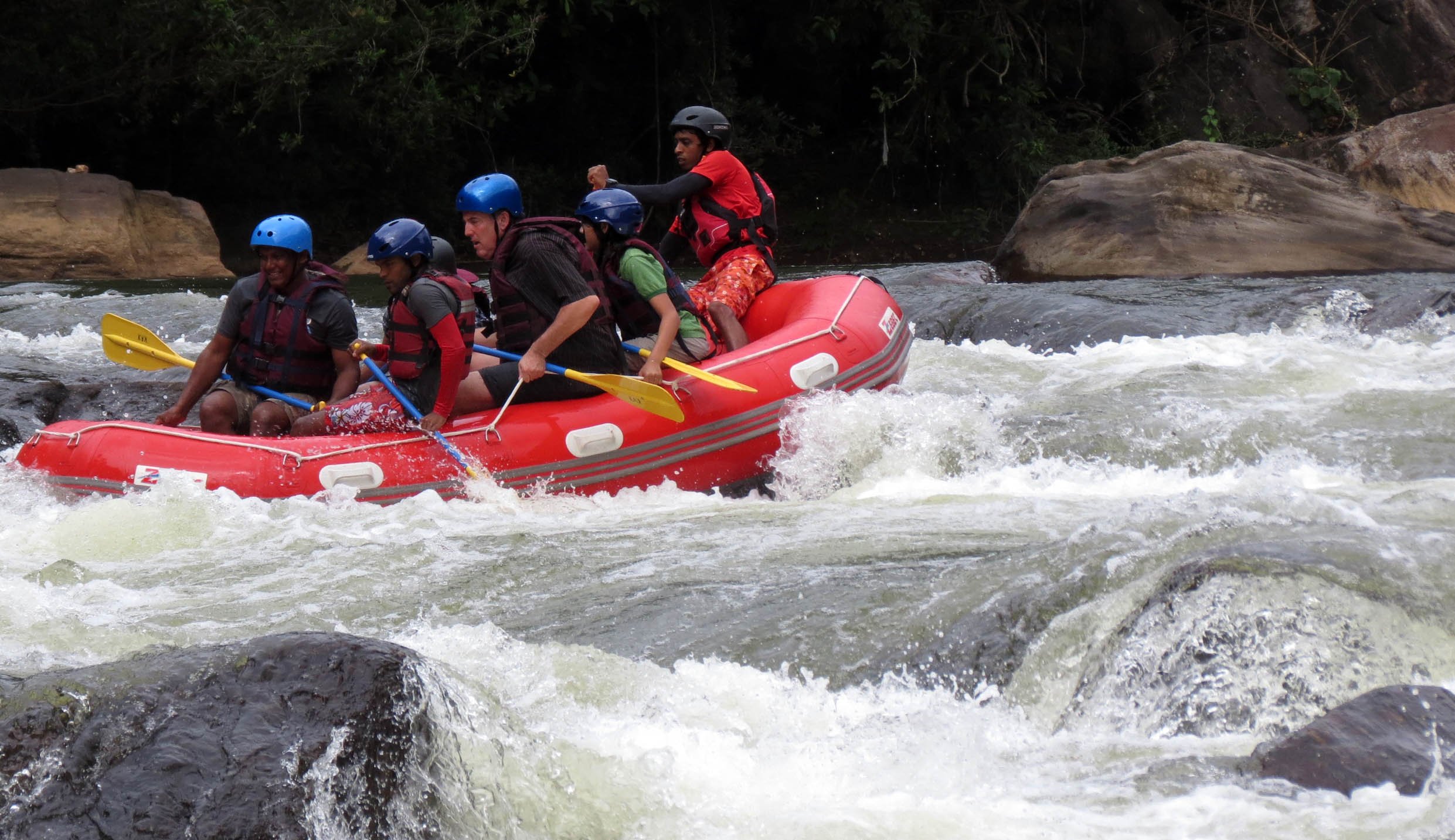 KITULGALA FOREST PRESERVE SRI LANKA (45).JPG