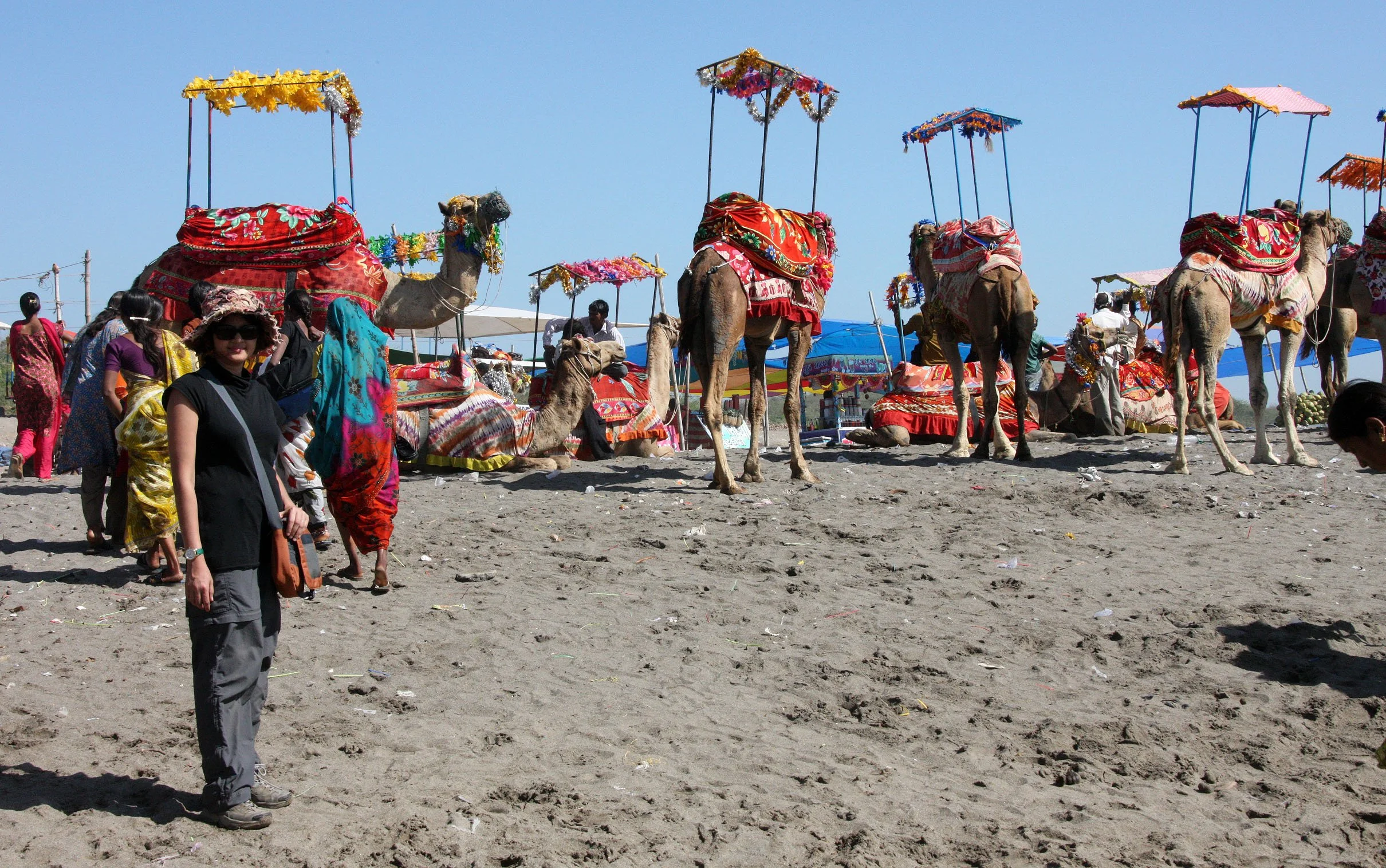 GUJARAT - SOMNATH TEMPLE AND TOWN - INDIA (38).JPG