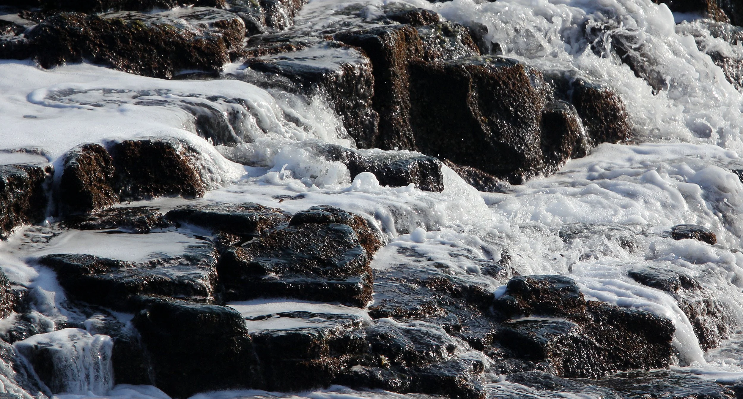 HANASAKI CAPE - NEMURO PENINSULA - HOKKAIDO JAPAN (11).JPG