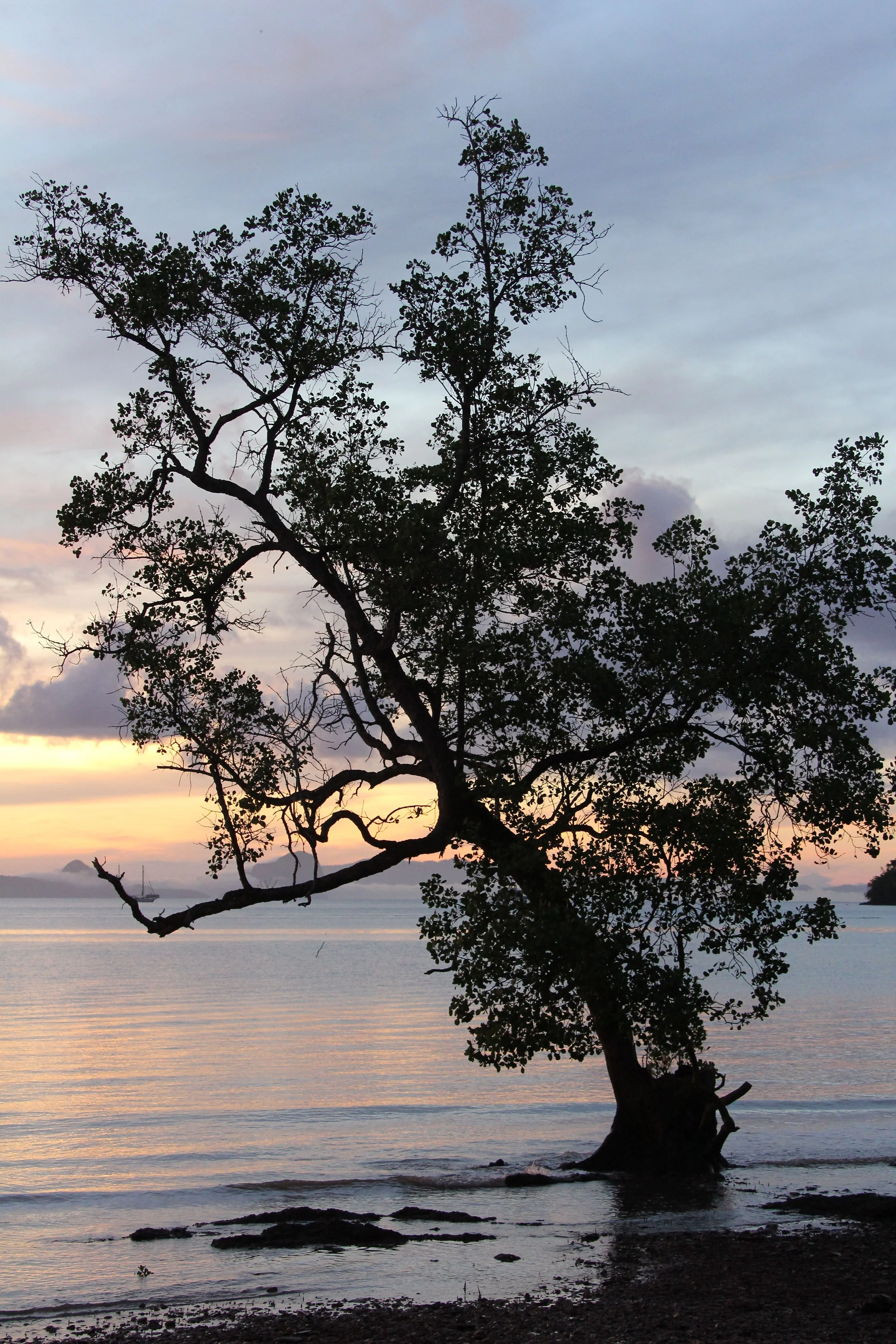 2016 Koh Lanta Landscapes, House Pictures and Family Fun (160).JPG