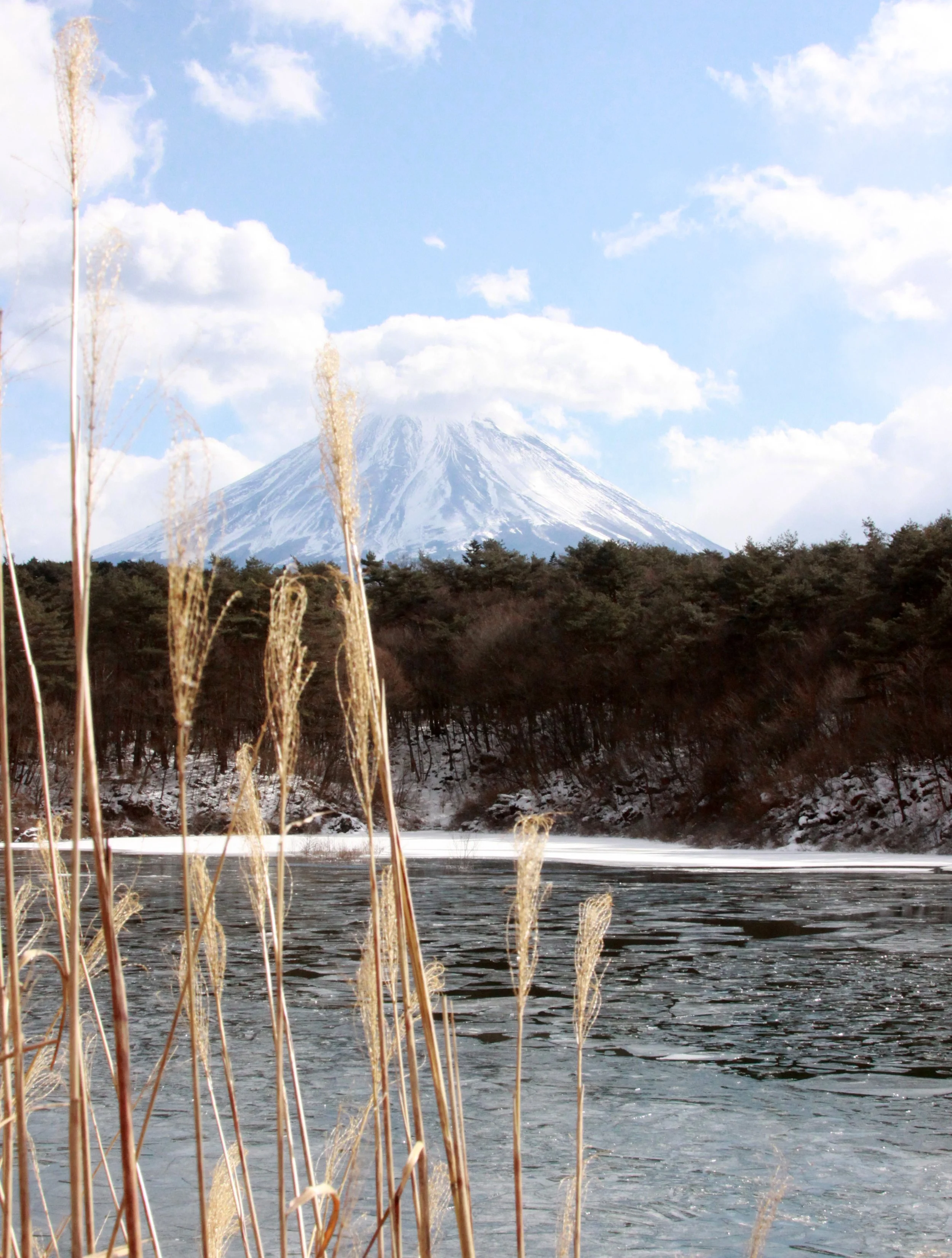 MOUNT FUJI - AS SEEN FROM LAKE SHOJI JAPAN (34).JPG