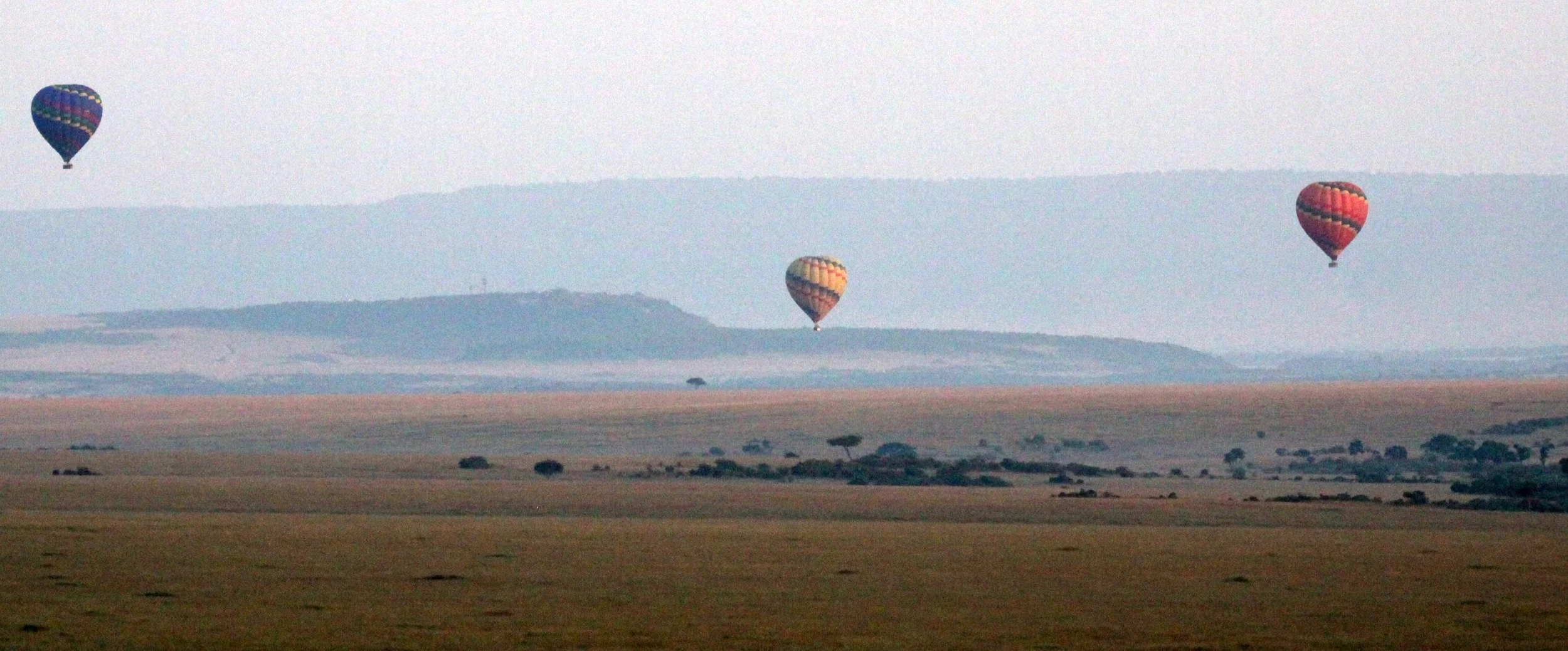 MASAI MARA NATIONAL PARK KENYA (207).JPG