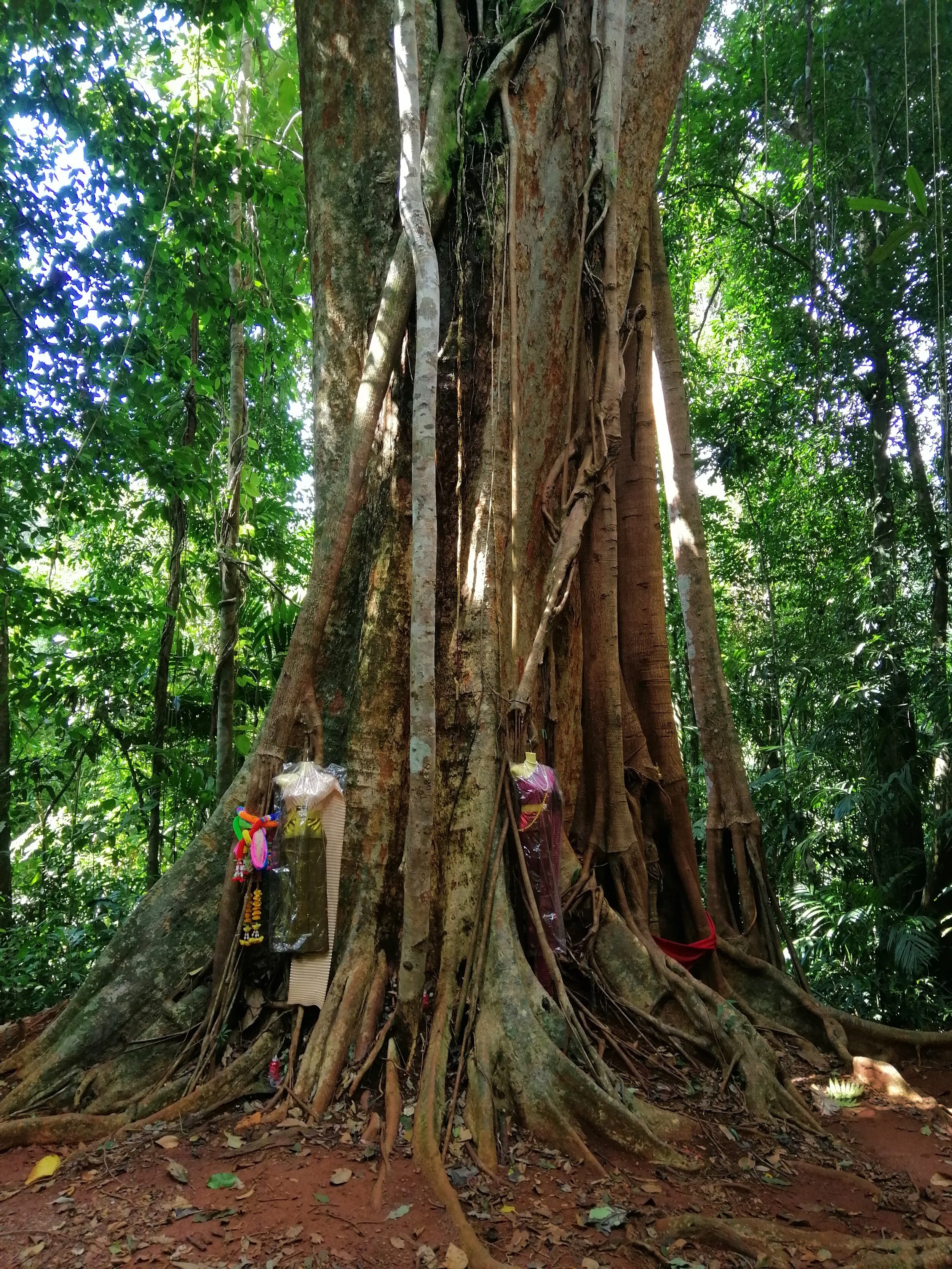 2019 Koh Kood Road Trip (54).jpg