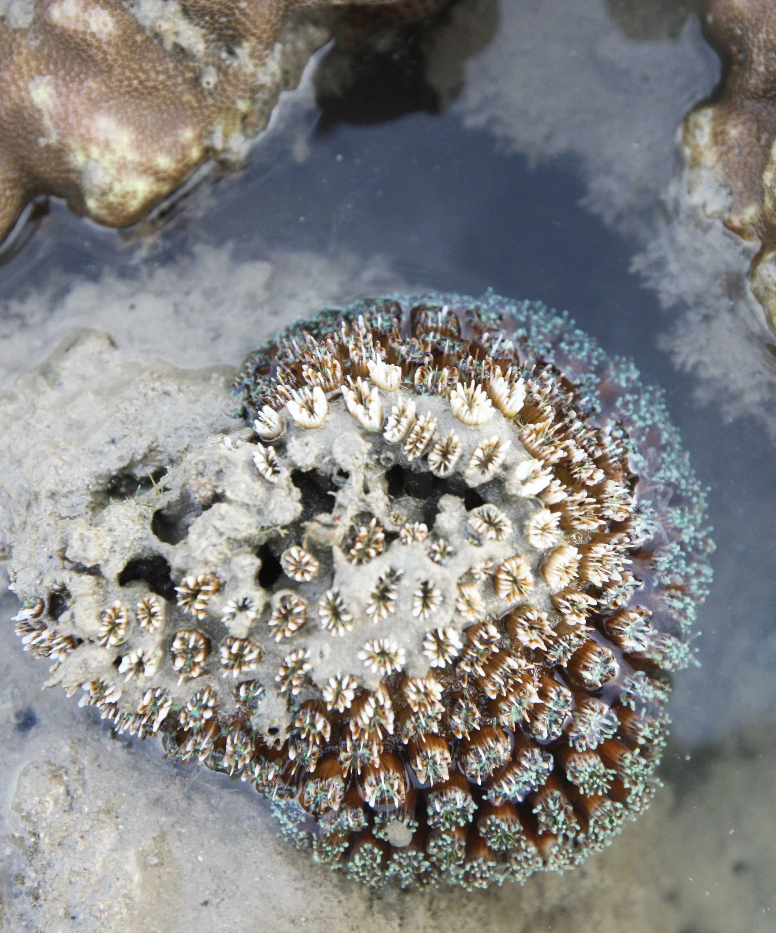 2015 Koh Lanta Songkran with friends from ISB (255).JPG