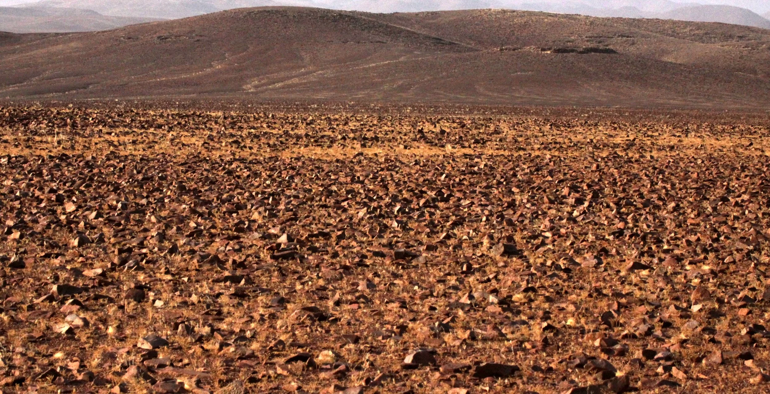 NAMIBIA - SKELETON COAST NATIONAL PARK - SCENERY.JPG