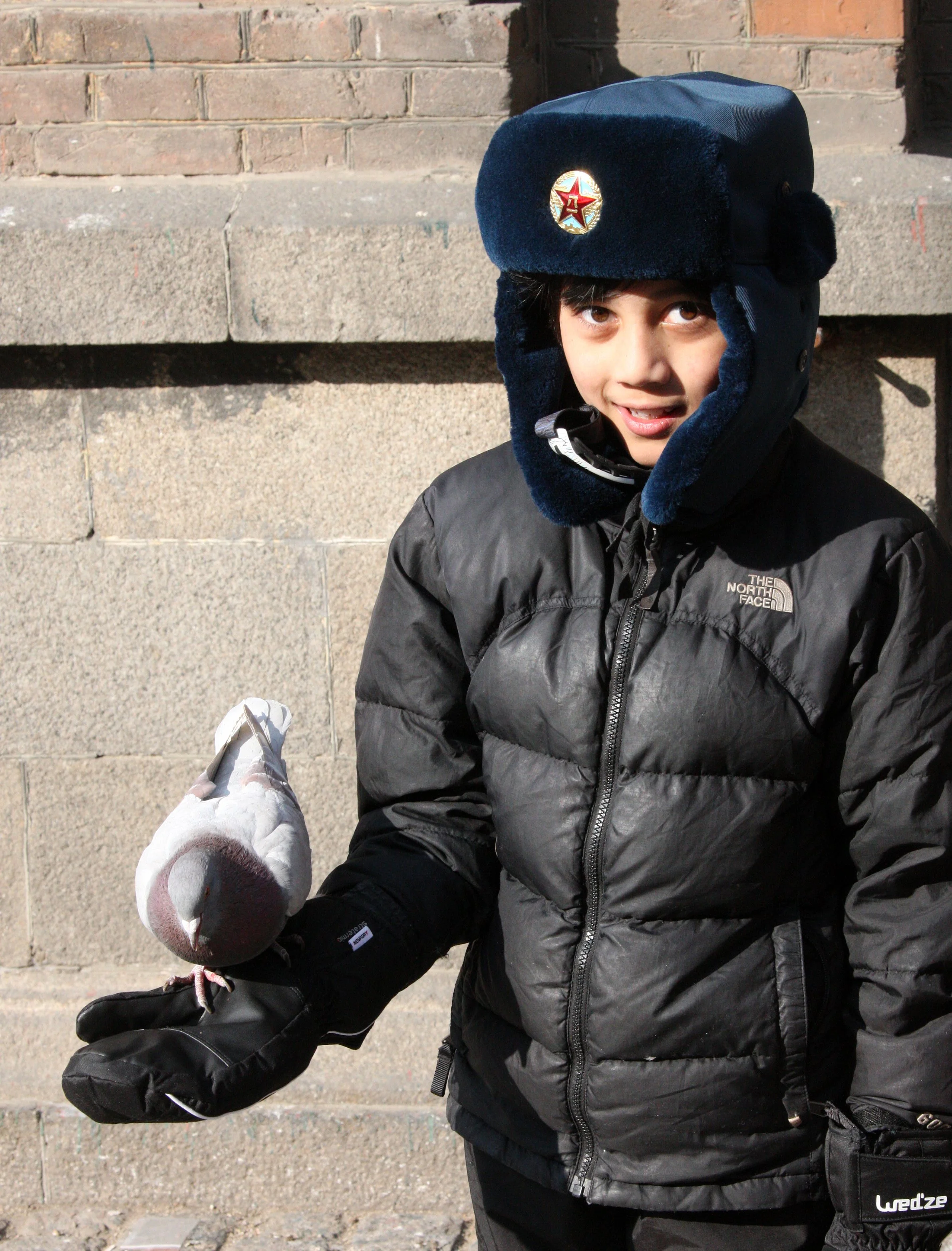 BIRD - PIGEON - HARBIN SAINT SOPHIA'S CATHEDRAL CHINA (24).JPG