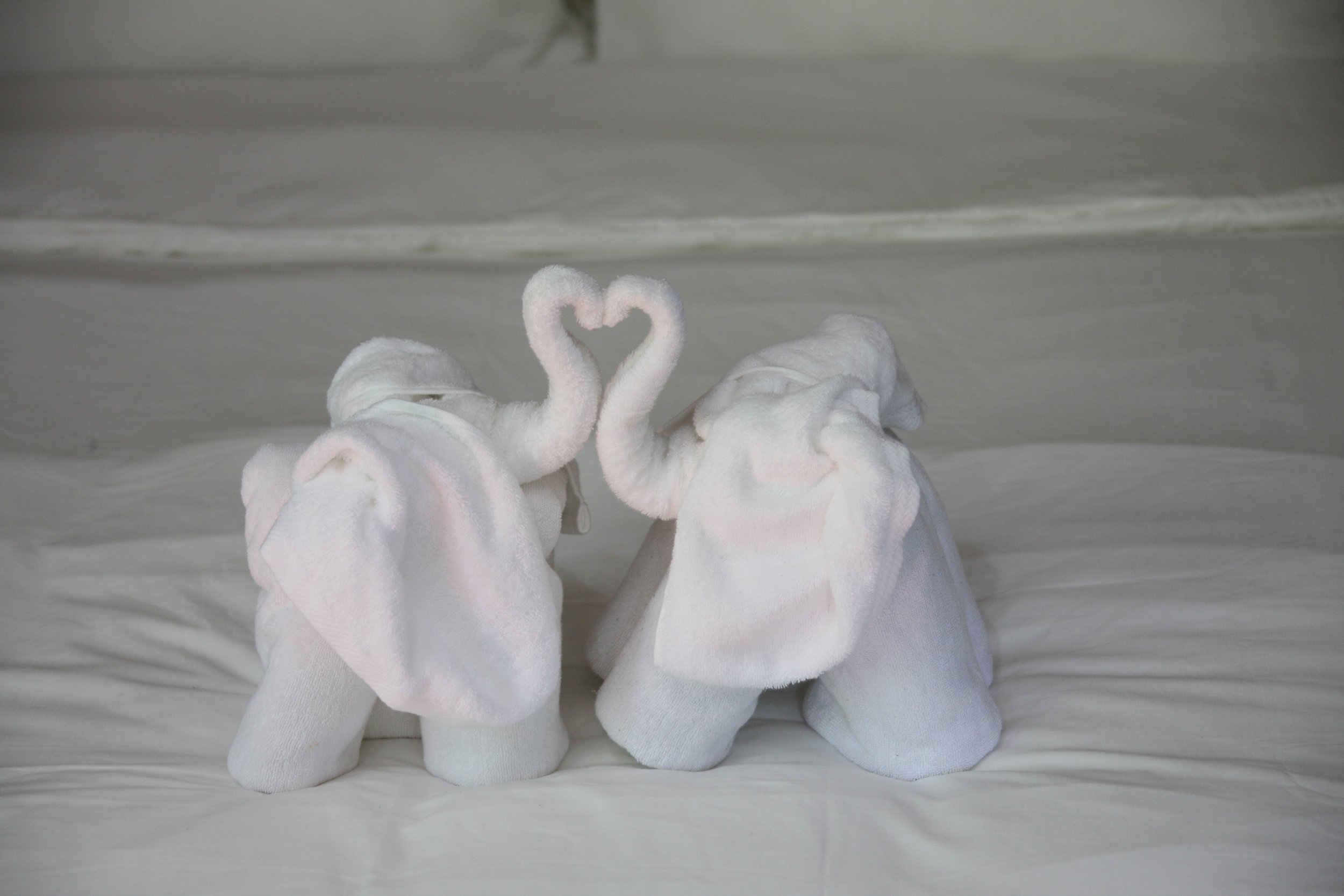 2016 Koh Lanta Landscapes, House Pictures and Family Fun (520).JPG