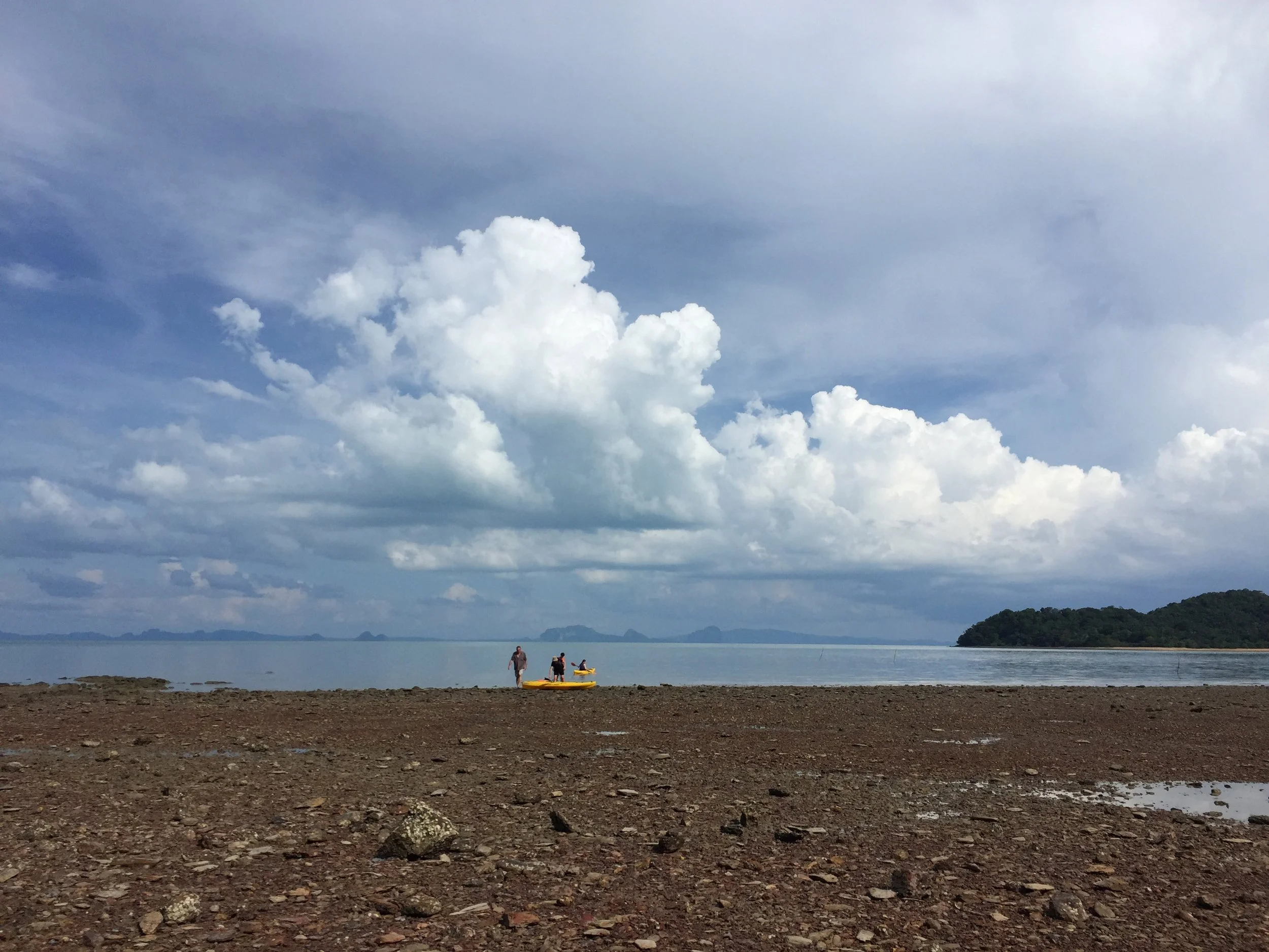 2015 Koh Lanta Garden & Nature (262).jpg