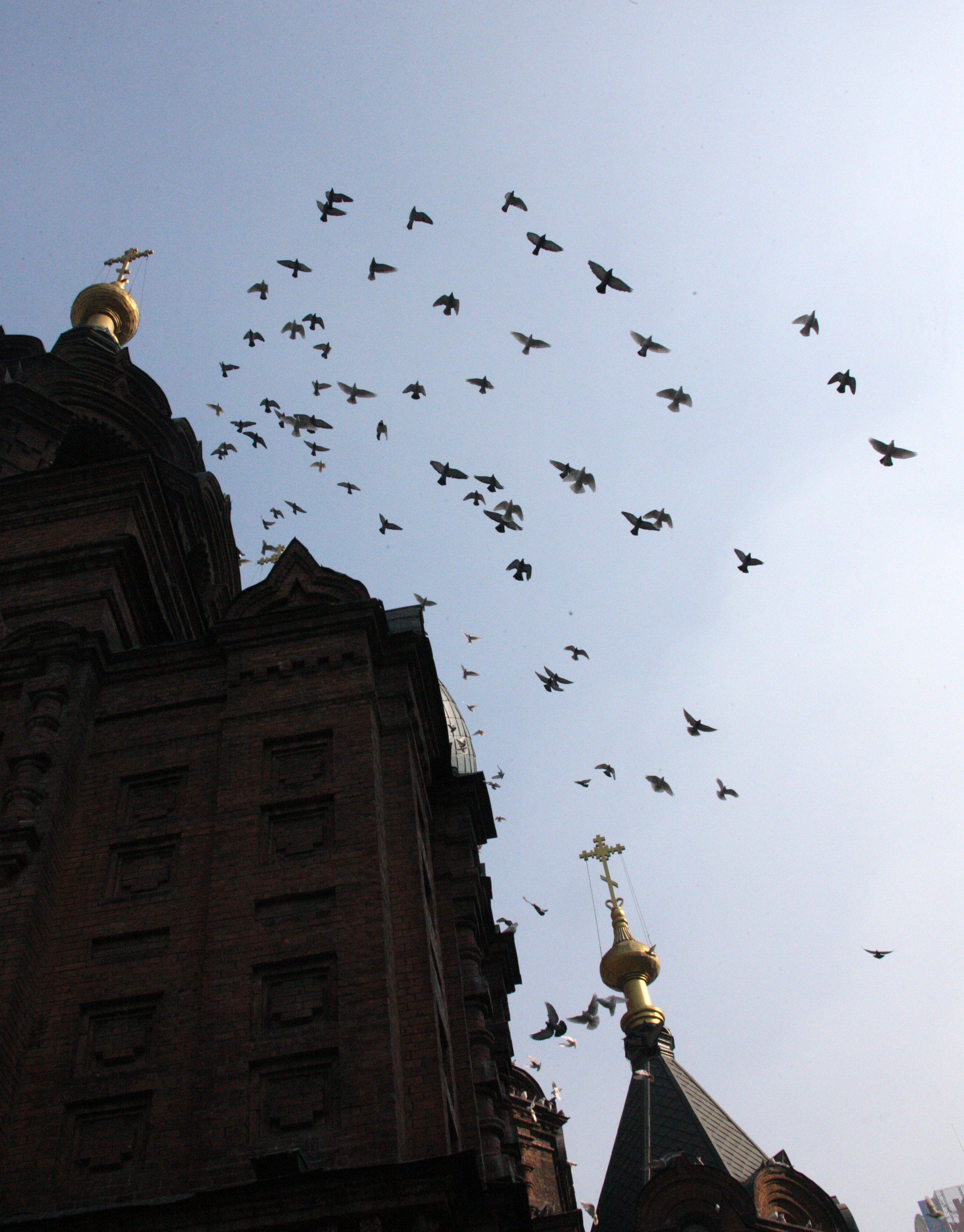 SAINT SOPHIA'S CATHEDRAL HARBIN CHINA (73).JPG