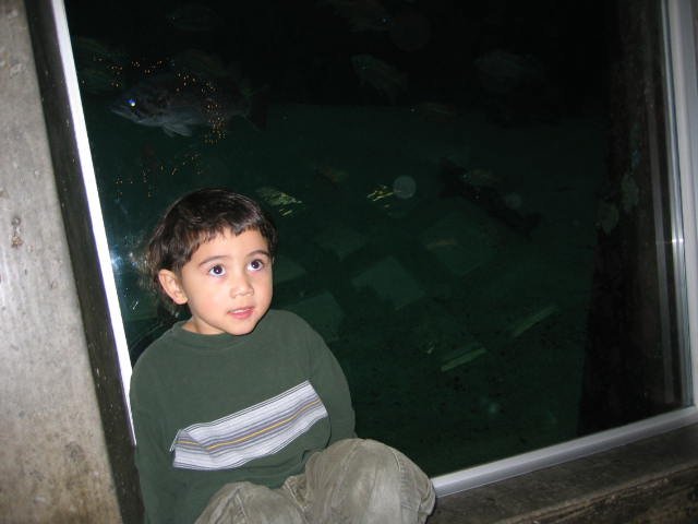 2005-10-29 DAY TRIP TO SEATTLE MUSEUMS AND AQUARIUM (10).JPG