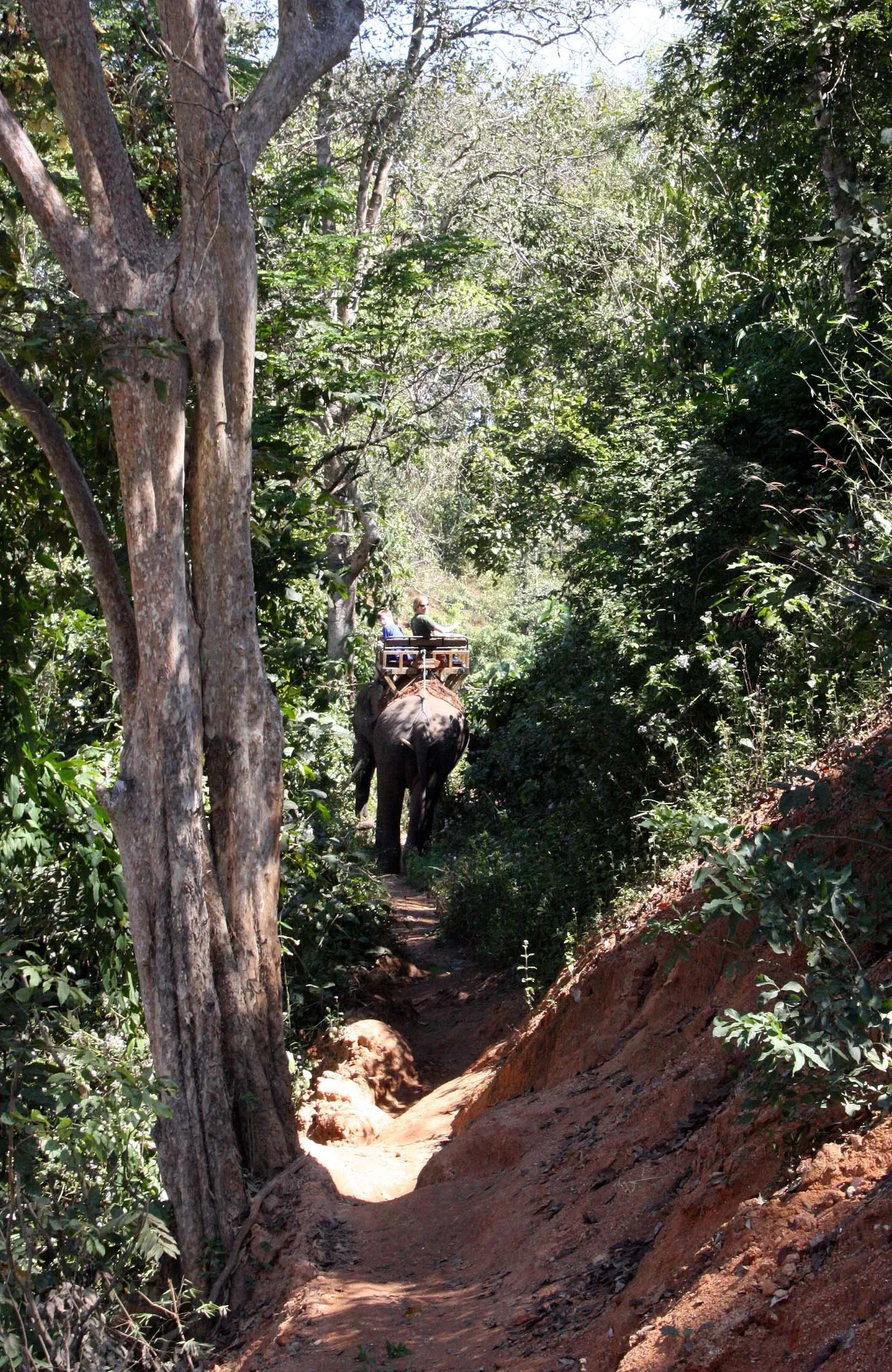 2008 Lampang City & Elephant Center (28).JPG