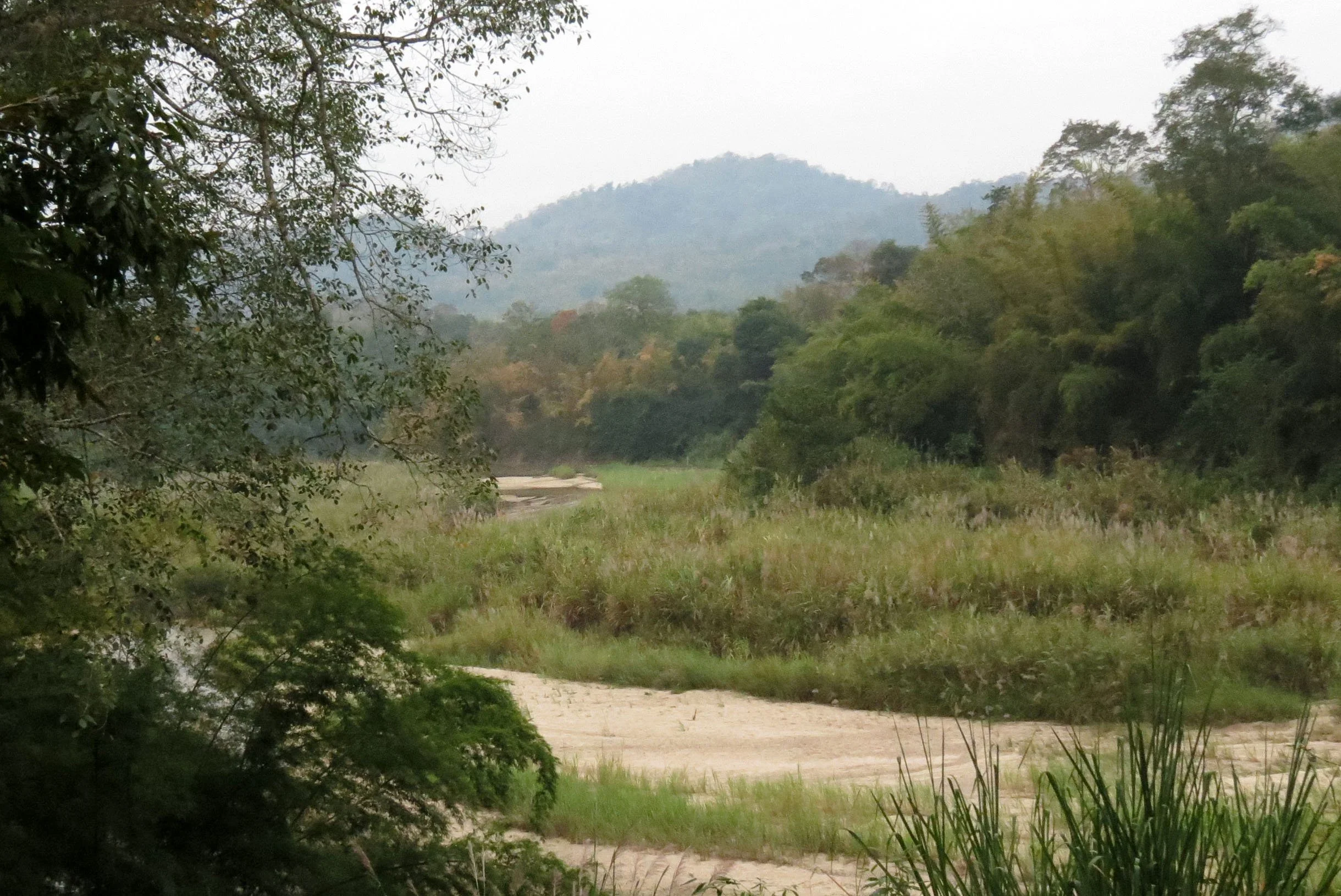 2014 Huai Kha Khaeng Bruce Kekule Trip (38).JPG