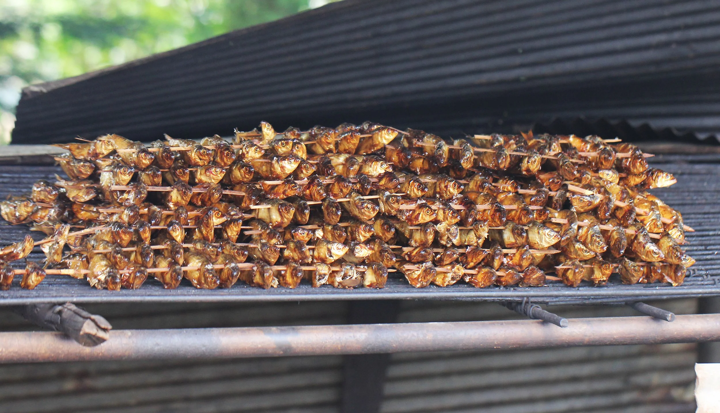 2015 Koh Lanta October Break Trip  (41).JPG