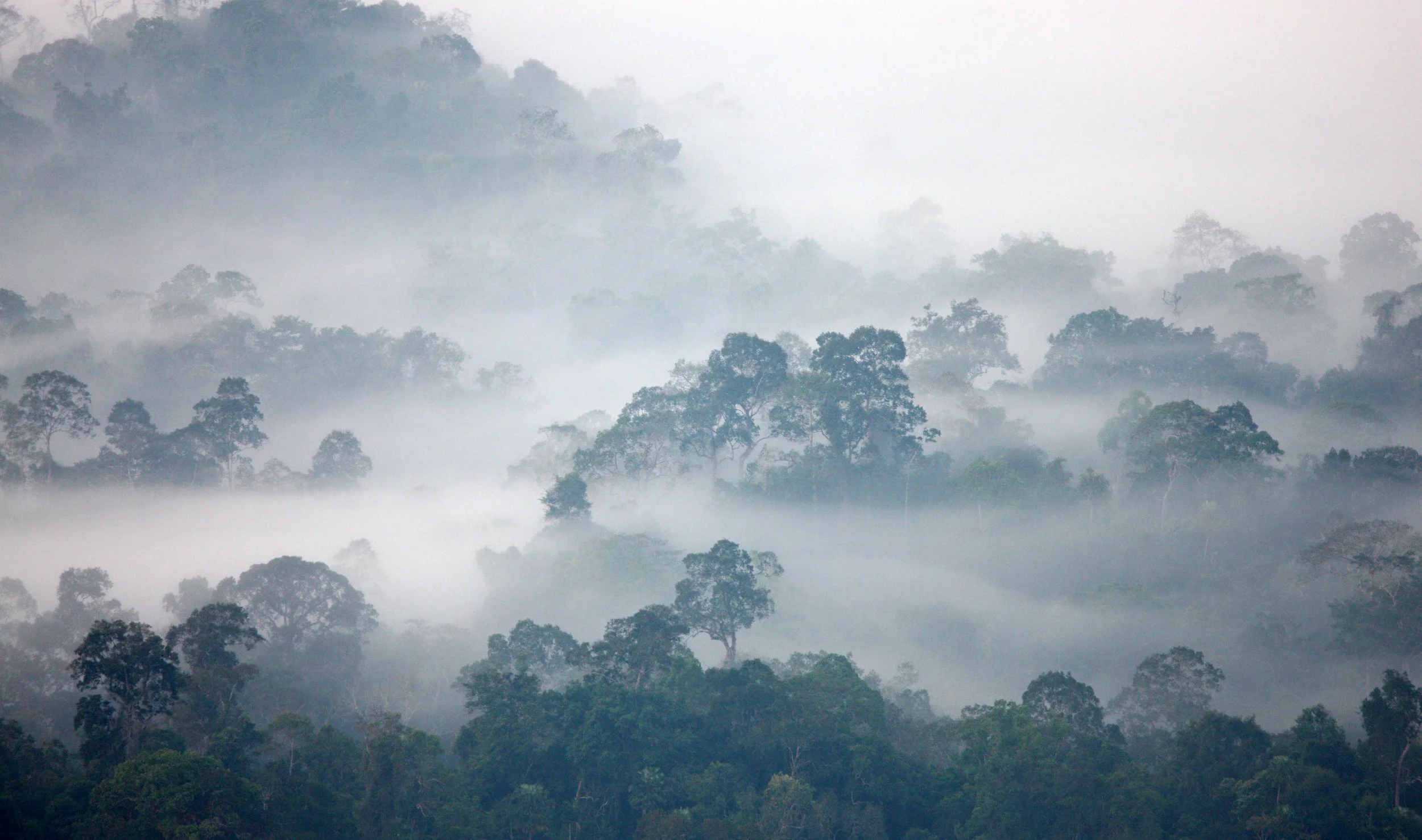 KAENG KRACHAN NATIONAL PARK THAILAND - THALE MOG (3).JPG