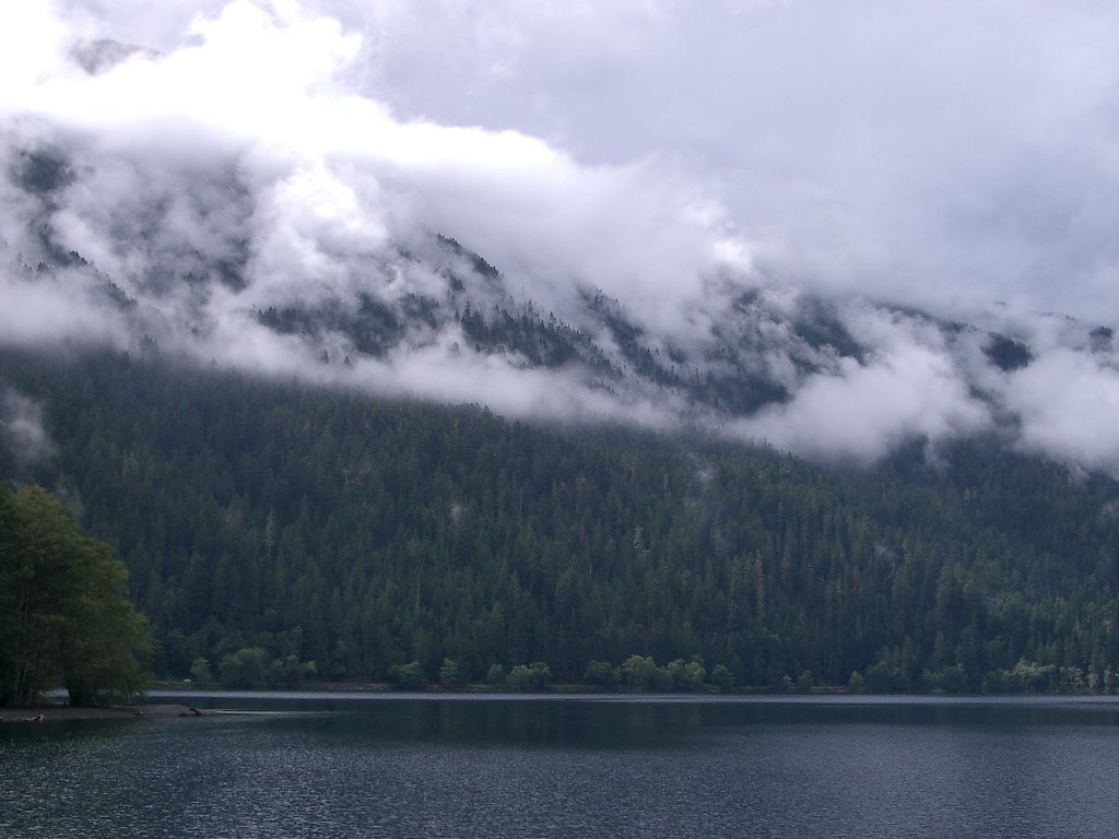 2004-8-6 HIKE TO MARYMERE FALLS AND LAKE CRESCENT (8).JPG