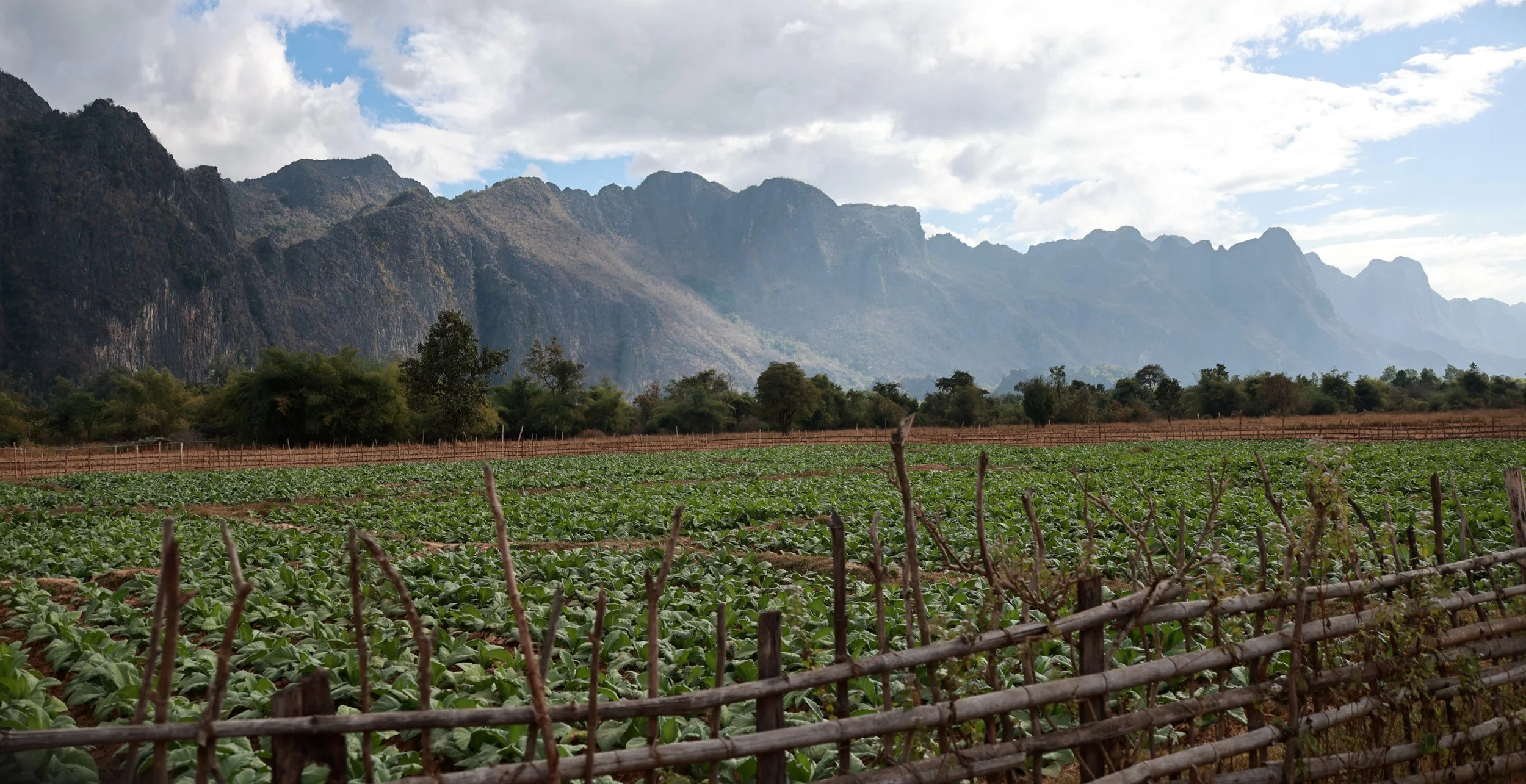 The Lao countryside on the way to Kong Lor Cave