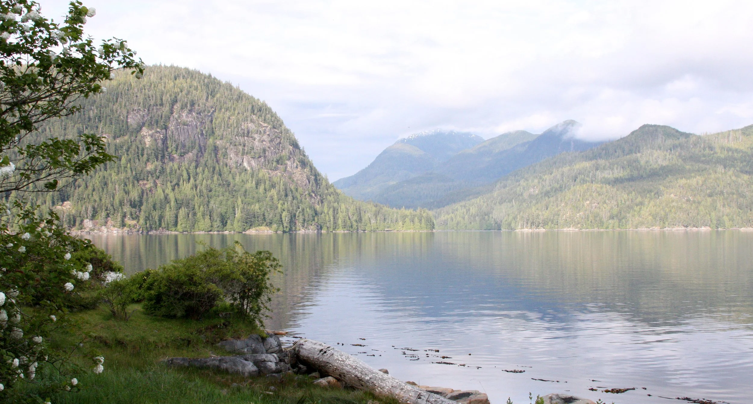 KNIGHT'S INLET BRITISH COLUMBIA (33).JPG