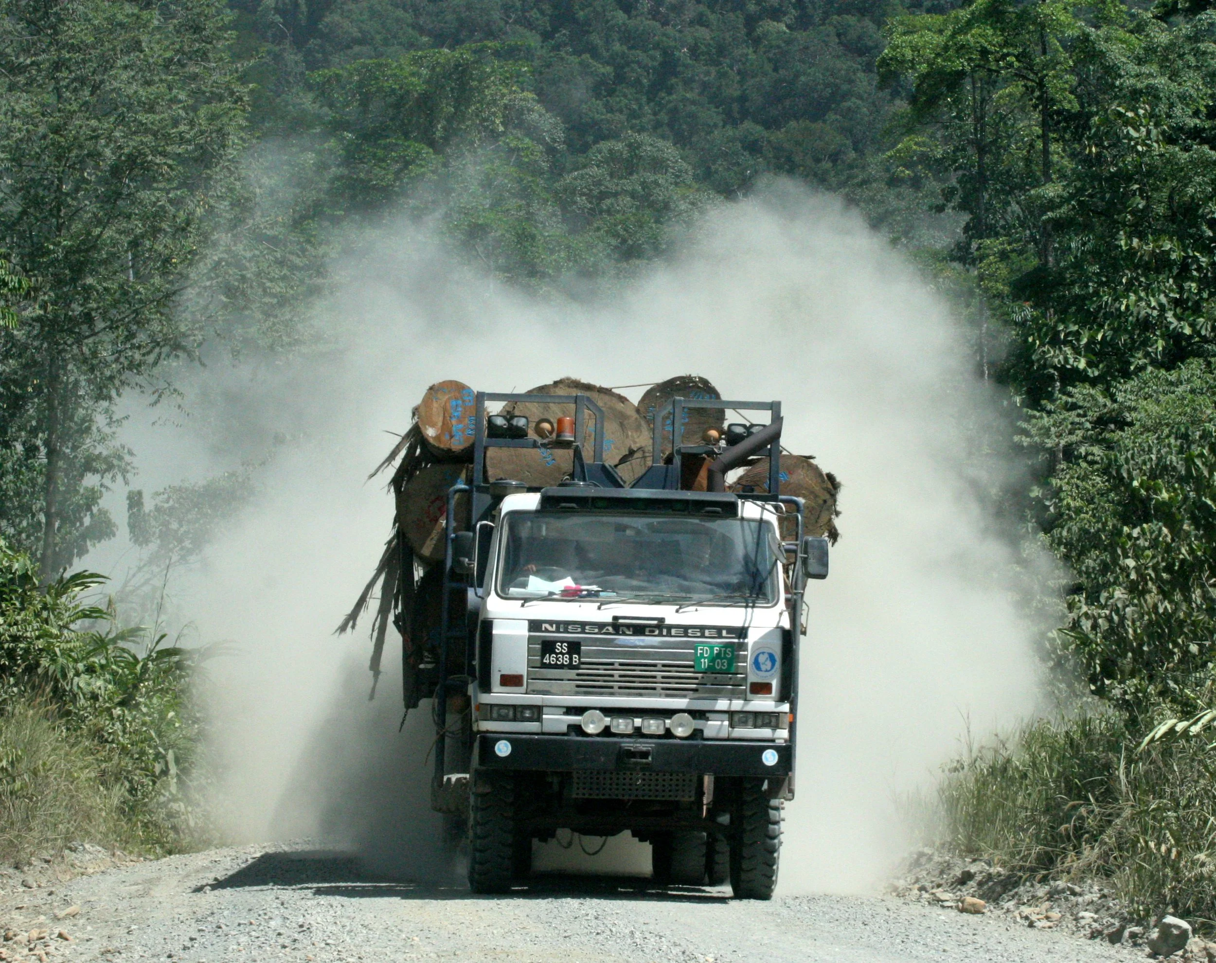 DANUM VALLEY BORNEO - LOGGING ROAD TO INTERIOR (5).JPG