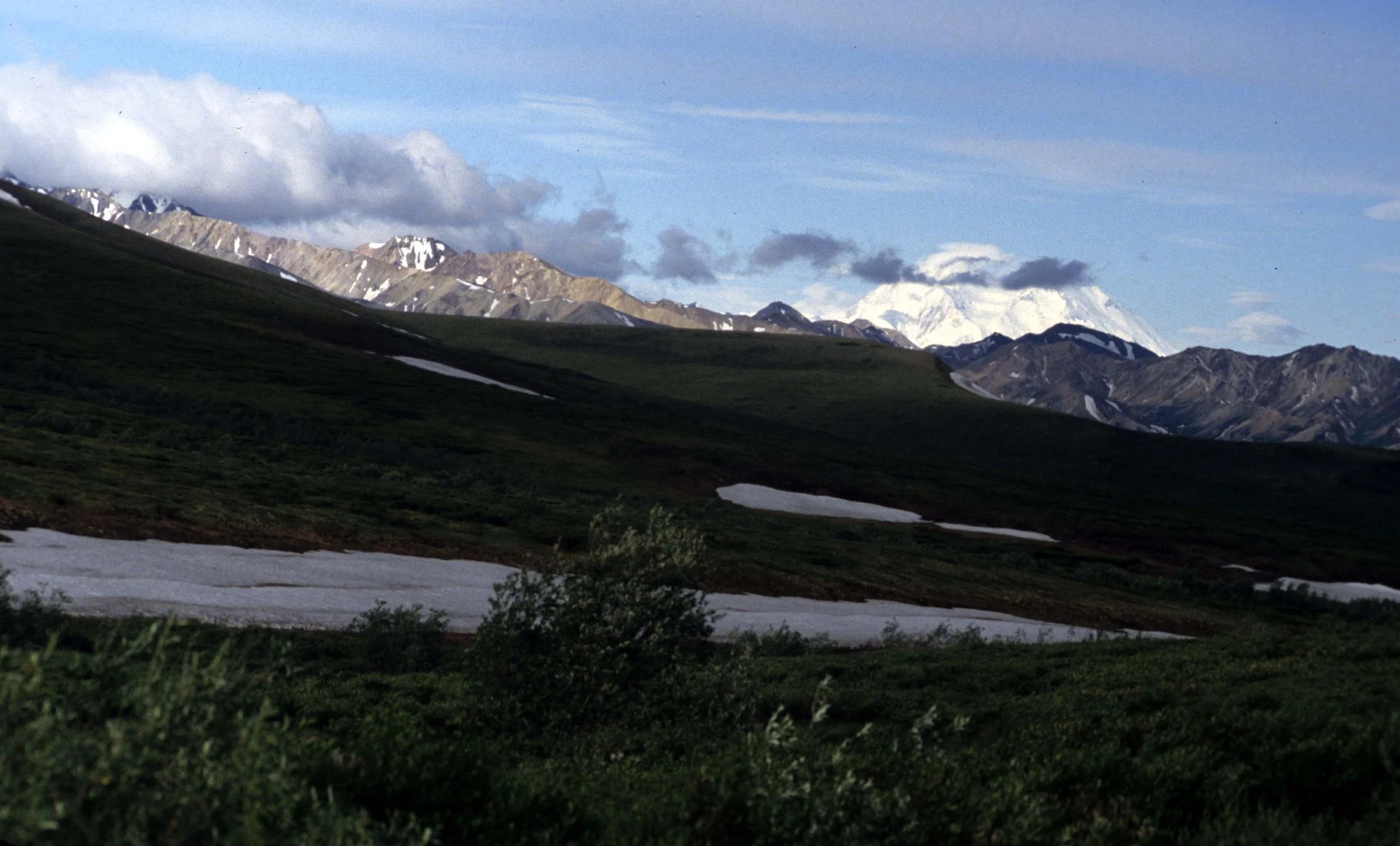 ALASKA - DENALI NP - MOUNT DENALI (4).jpg