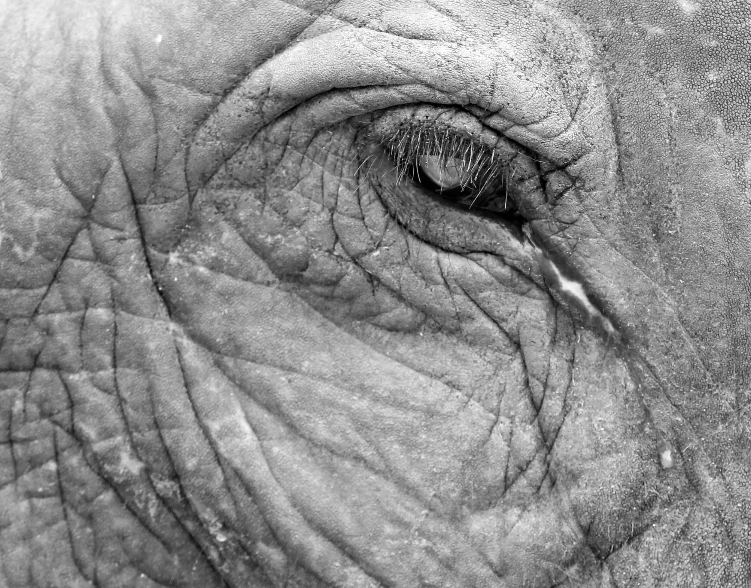 2013 Ayutthaya ISB Passion Day (37).JPG