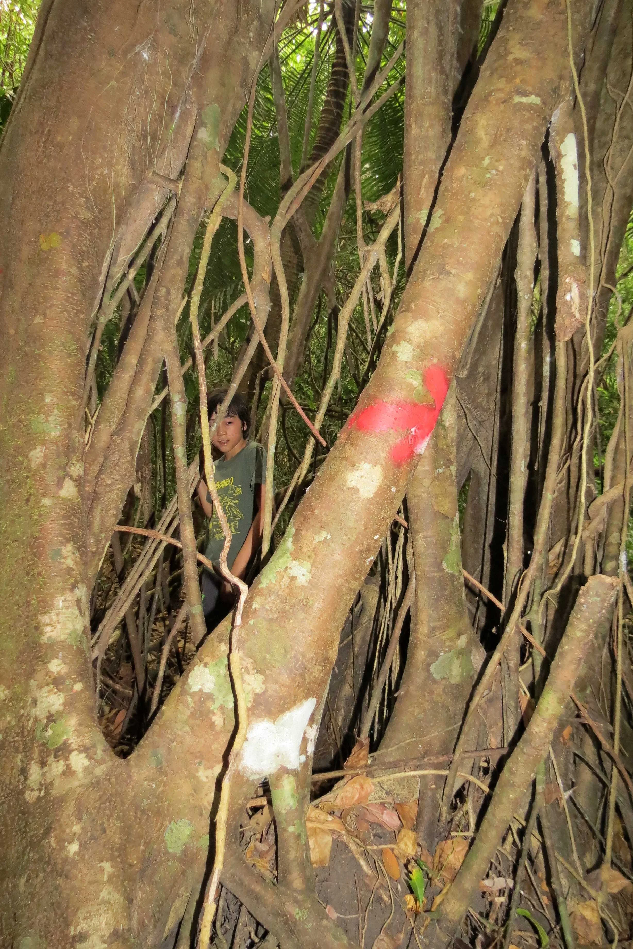 CAT TIEN NATIONAL PARK VIET NAM (62).JPG