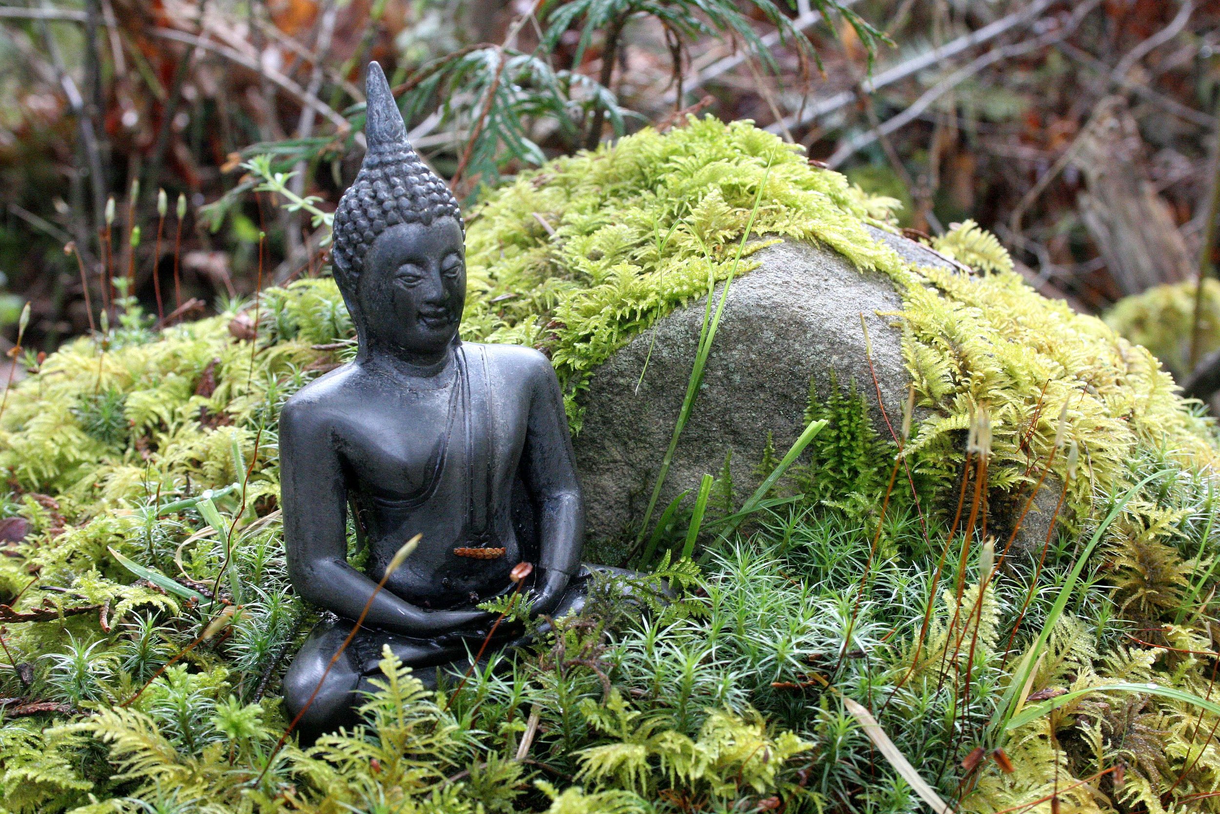 2008-4-19 LAKE FARM TRAILS WALK (26).JPG