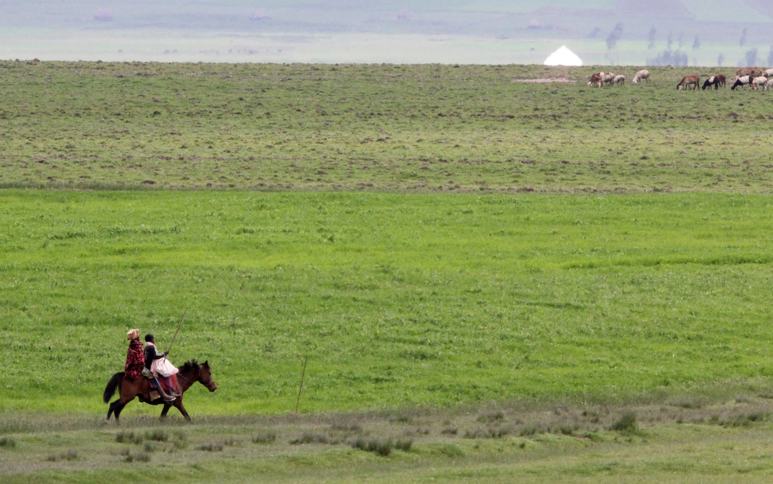 BALE MOUNTAINS NATIONAL PARK ETHIOPIA (88).JPG