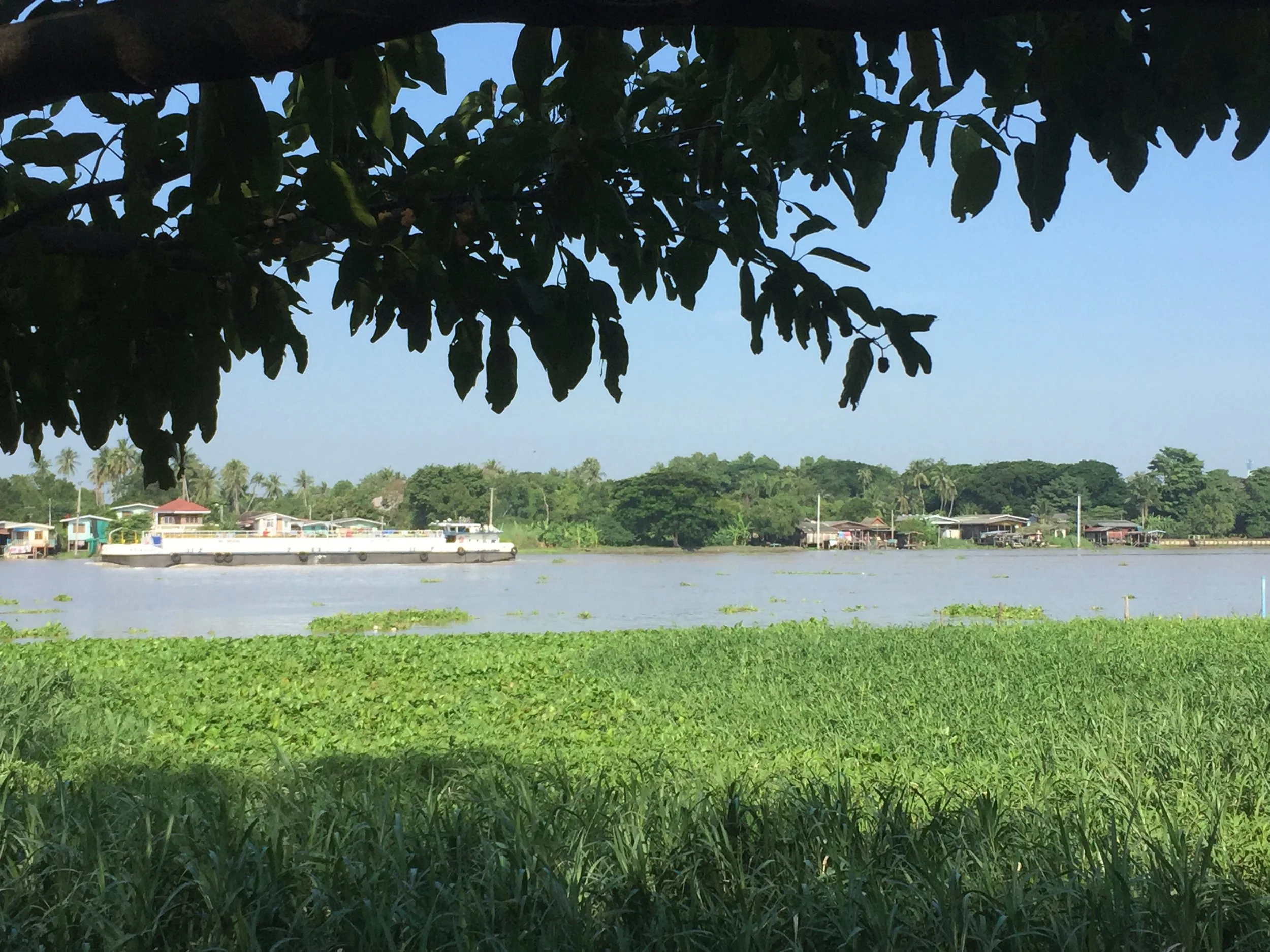 BKK - RIDE TO SUAN THIP PAKKRET FALL 2015 (8).JPG