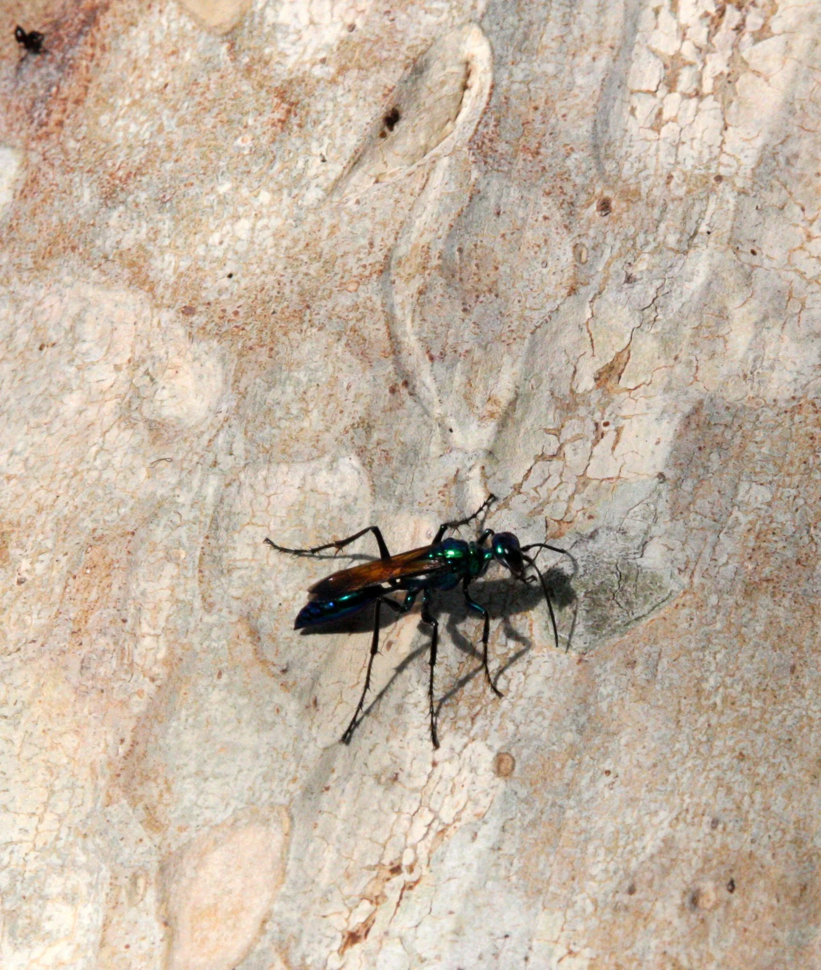 KOH KER TEMPLE CAMBODIA (40).JPG